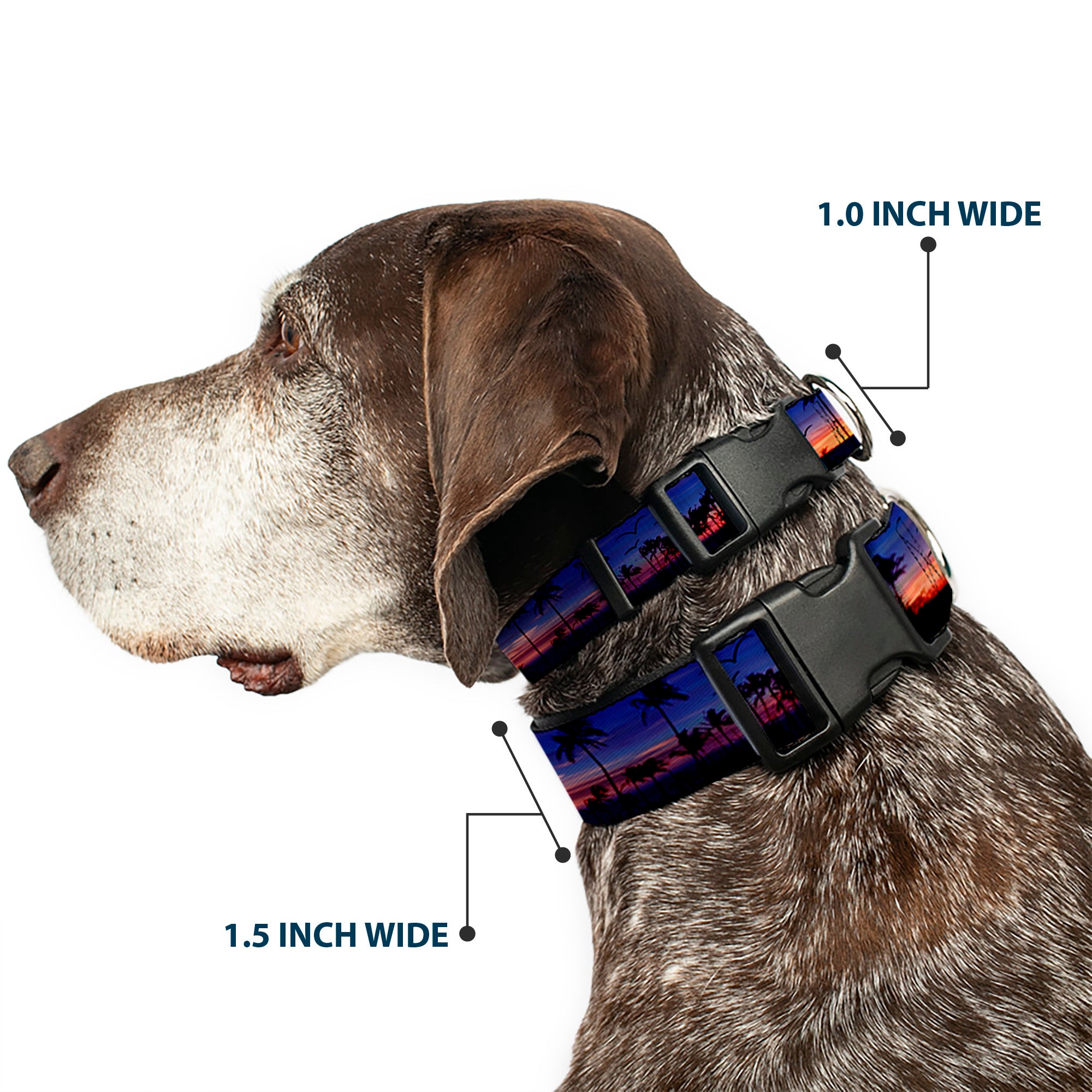 Plastic Clip Collar - California Sunset Plastic Clip Collars Buckle-Down