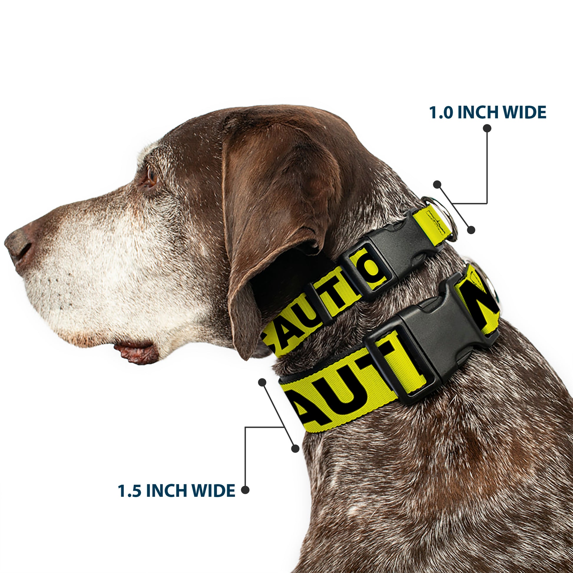 Plastic Clip Collar - CAUTION Yellow/Black Plastic Clip Collars Buckle-Down