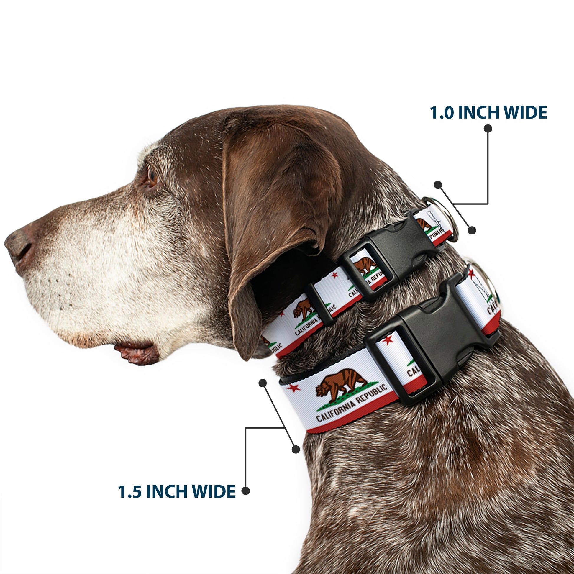 Plastic Clip Collar - California State Flag White Plastic Clip Collars Buckle-Down