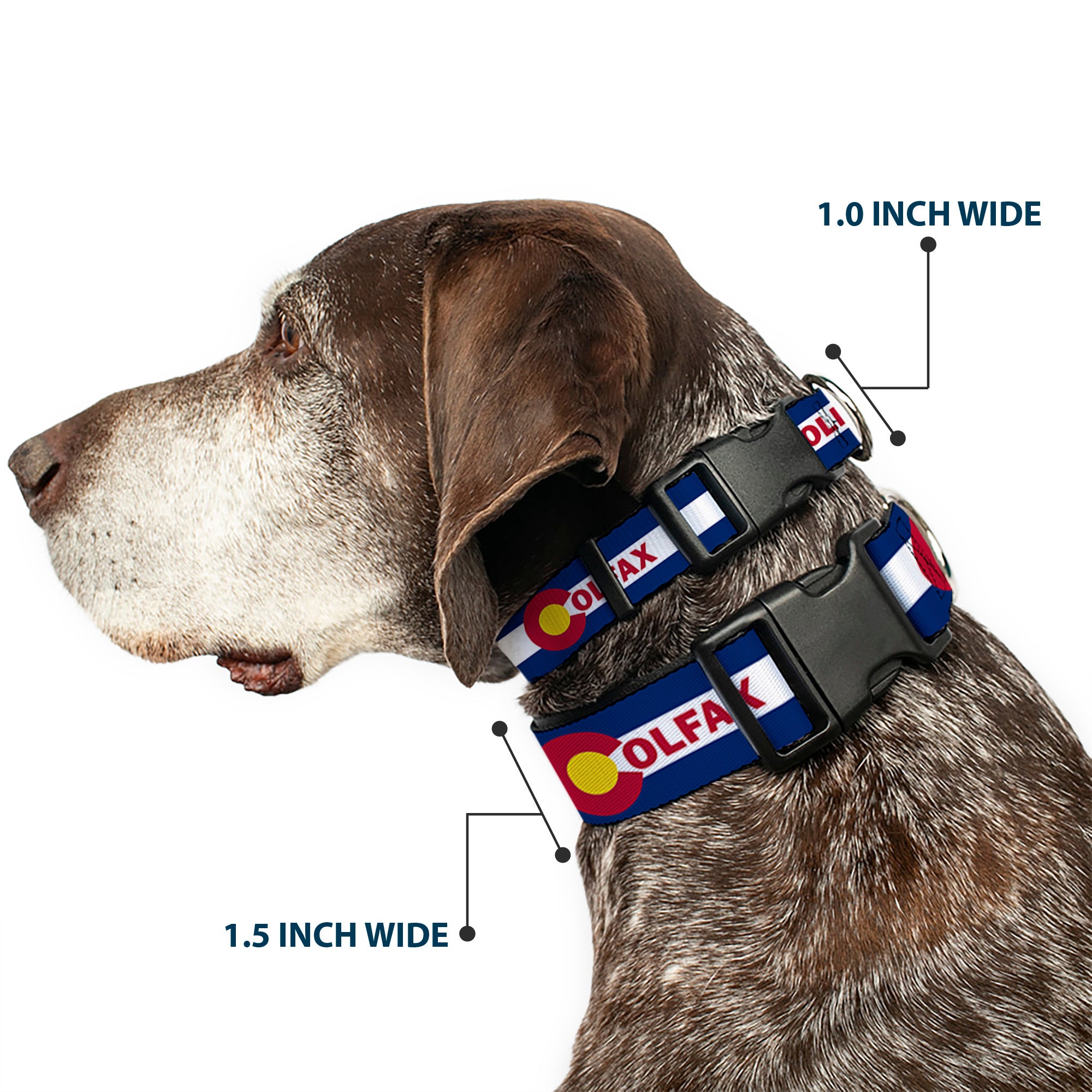 Plastic Clip Collar - Colfax Colorado Flag Plastic Clip Collars Buckle-Down