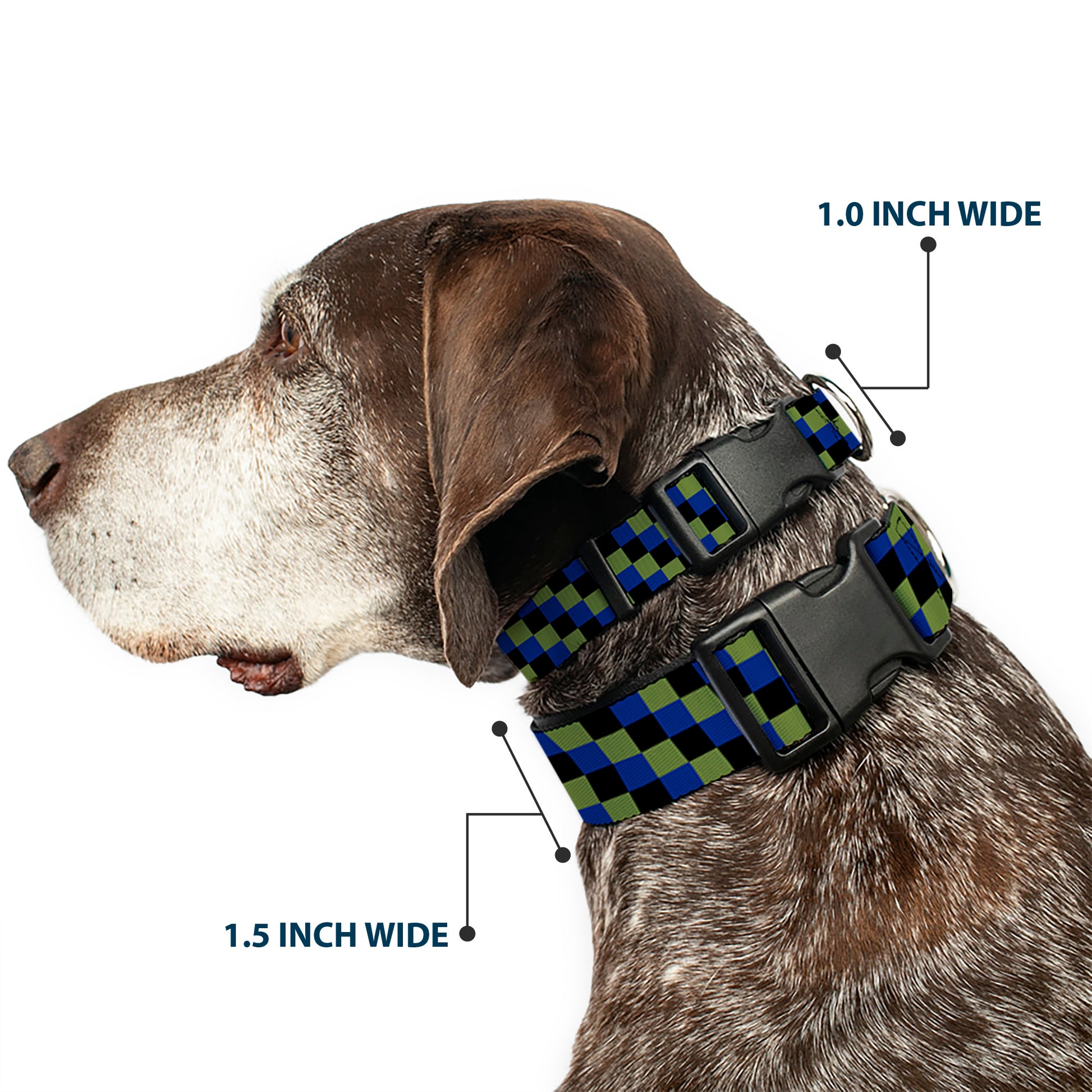Plastic Clip Collar - Checker Trio Green/Black/Blue Plastic Clip Collars Buckle-Down