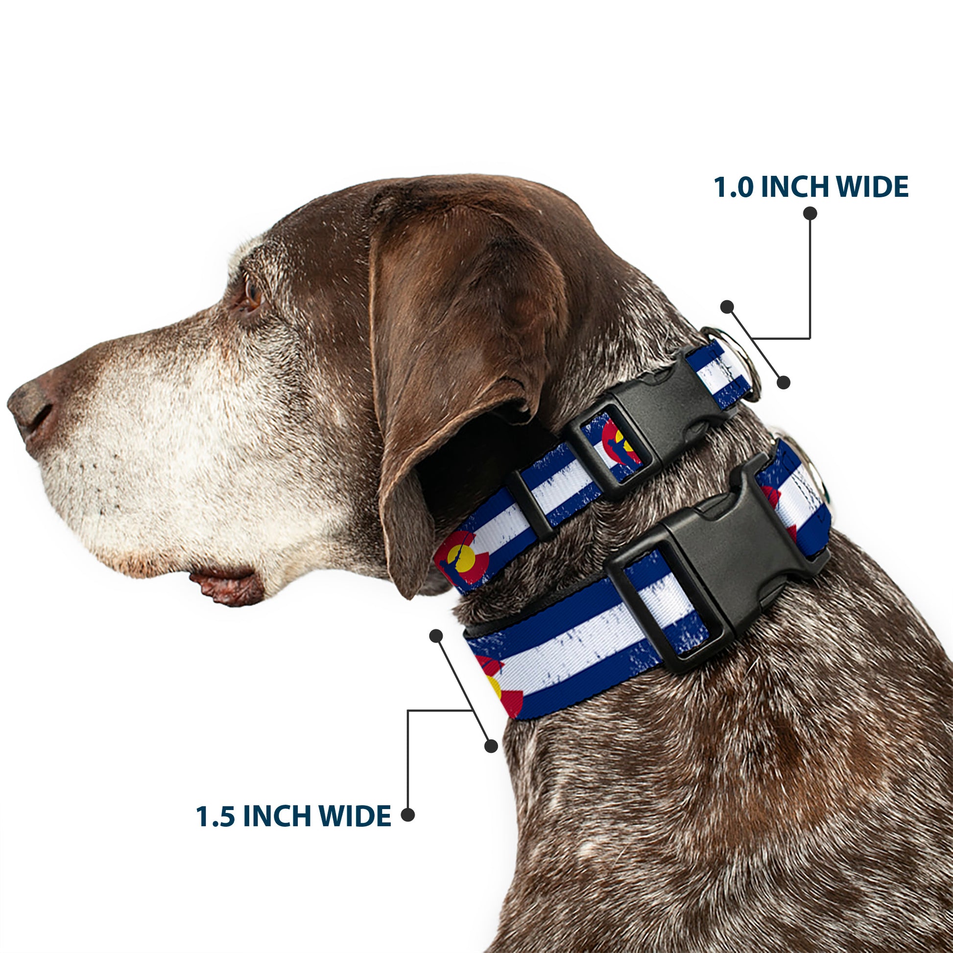 Plastic Clip Collar - Colorado Flag/Fisher Weathered Plastic Clip Collars Buckle-Down