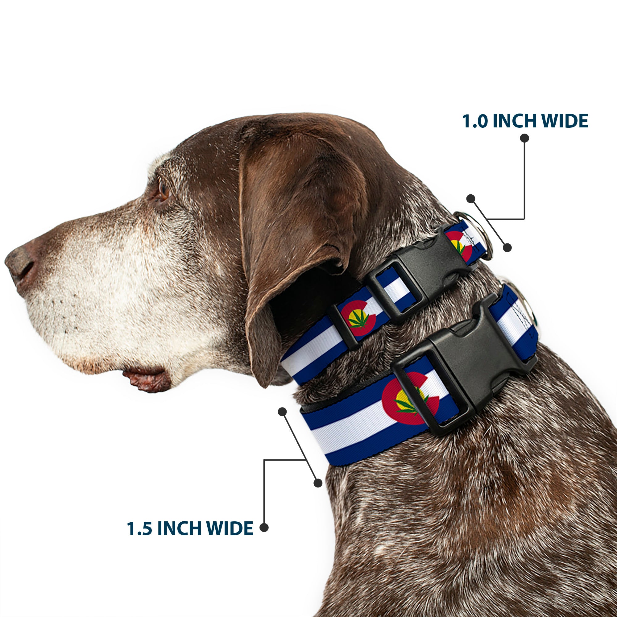 Plastic Clip Collar - Colorado Flag/Marijuana Leaf Plastic Clip Collars Buckle-Down