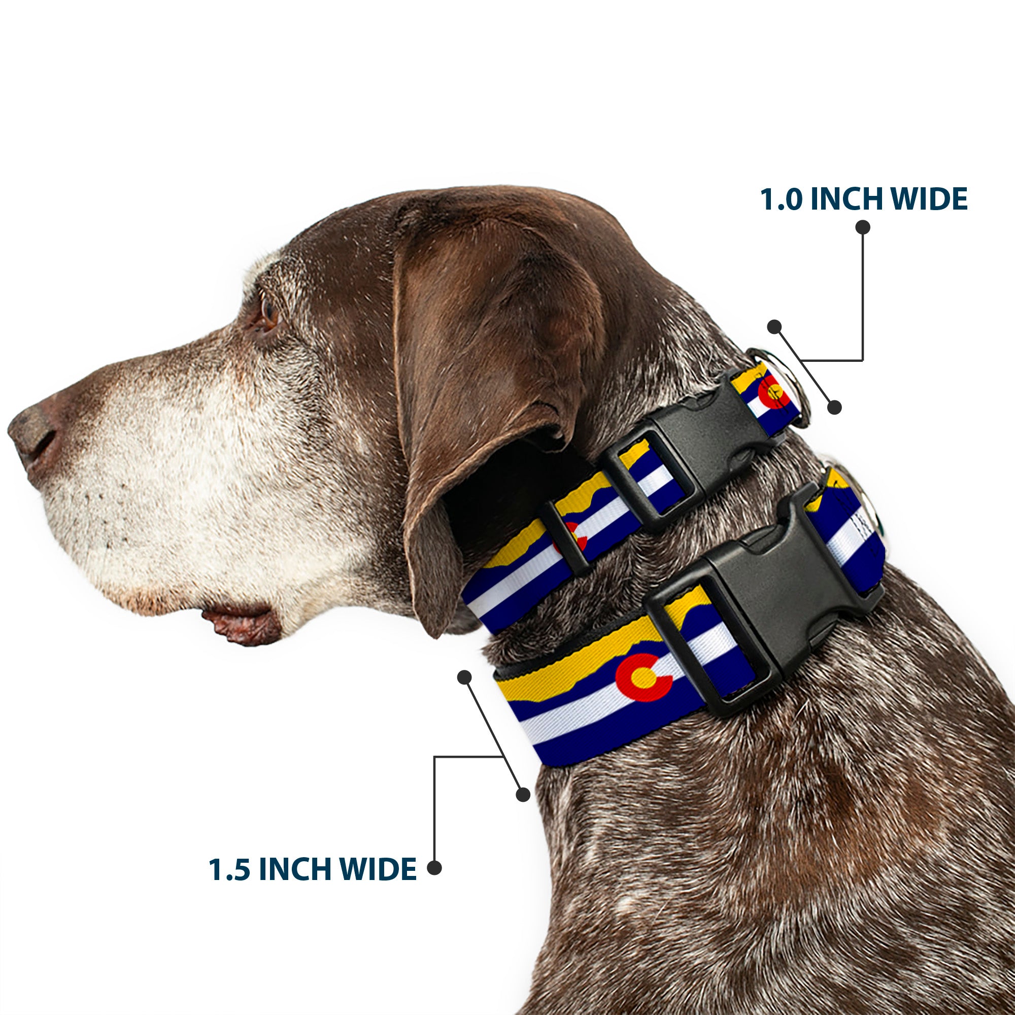Plastic Clip Collar - Colorado Flag/Mountain Silhouette Yellow Plastic Clip Collars Buckle-Down