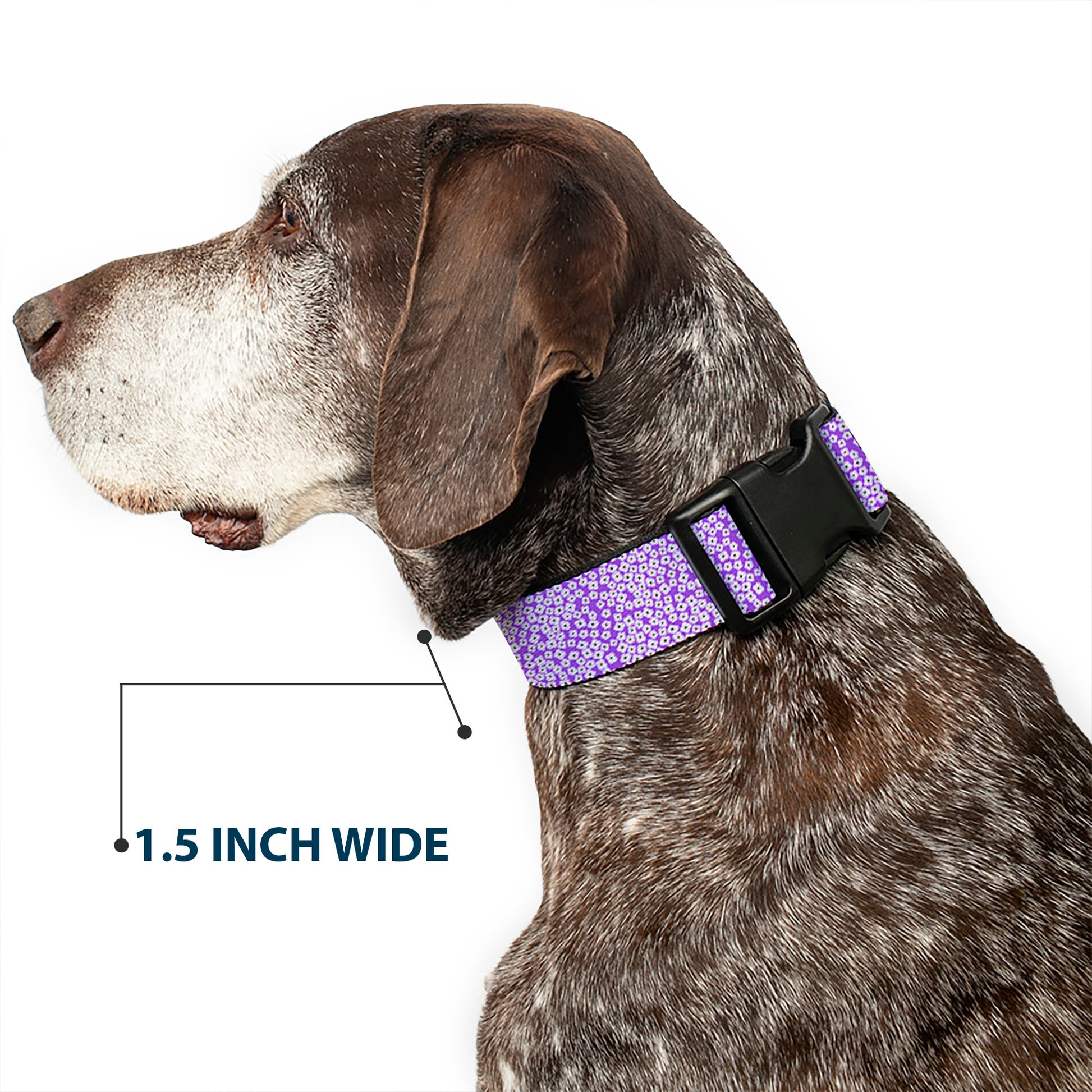 Plastic Clip Collar - Ditsy Floral Lavender/White/Black Plastic Clip Collars Buckle-Down