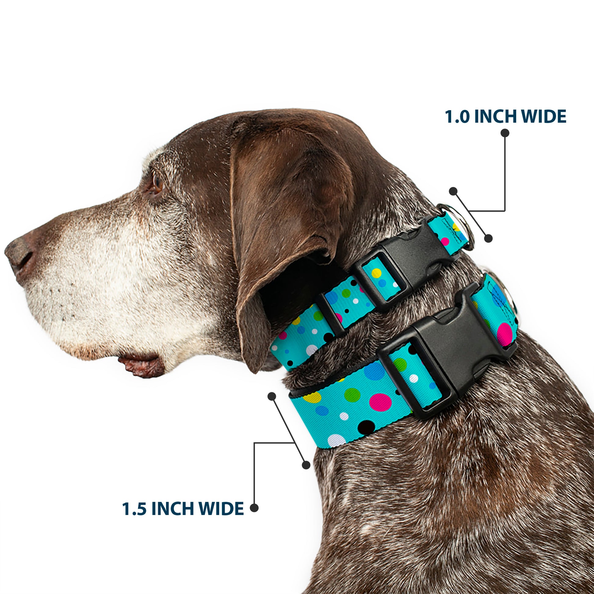 Plastic Clip Collar - Dots Seafoam Green/Multi Pastel Plastic Clip Collars Buckle-Down
