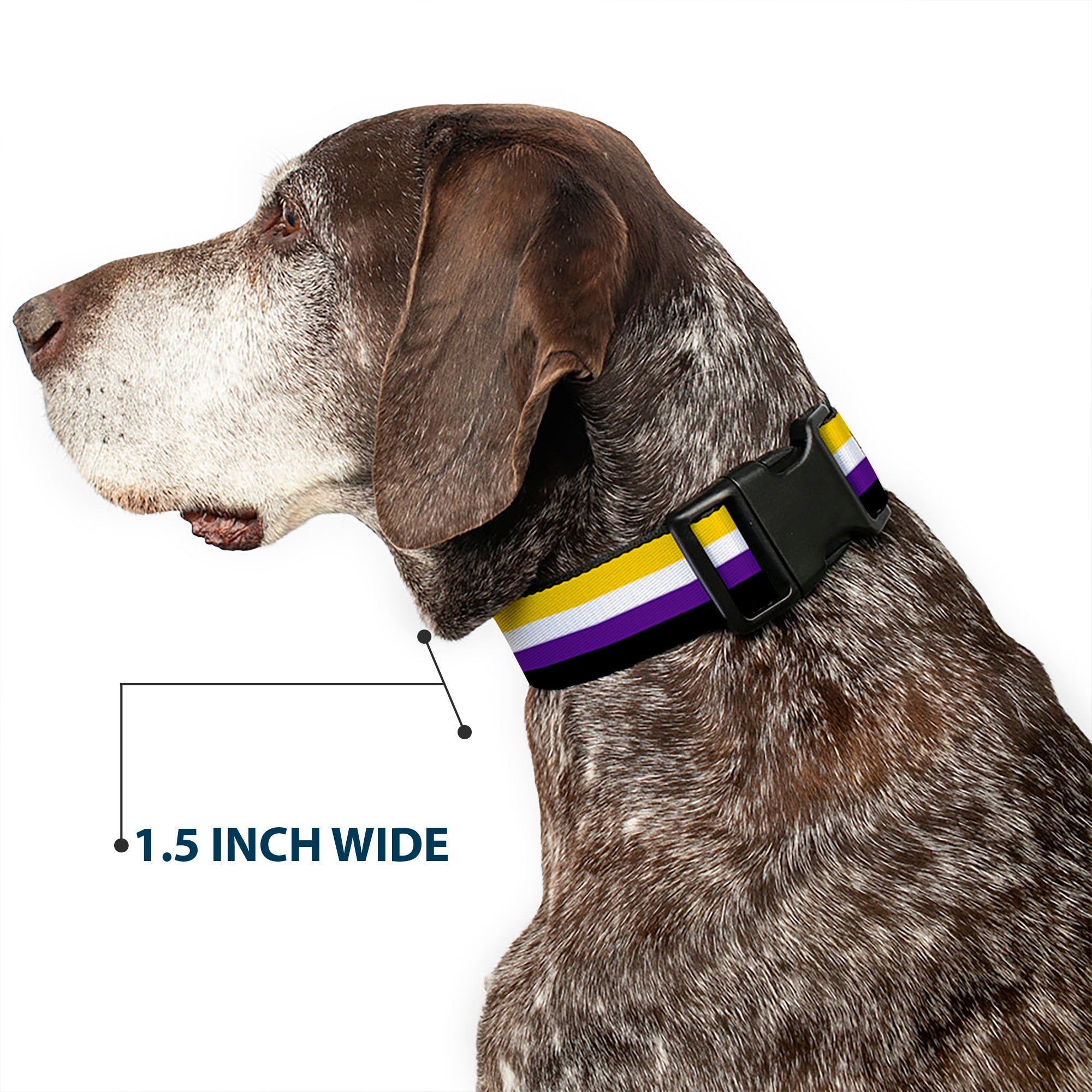 Plastic Clip Collar - Flag Non-Binary Stripe Plastic Clip Collars Buckle-Down