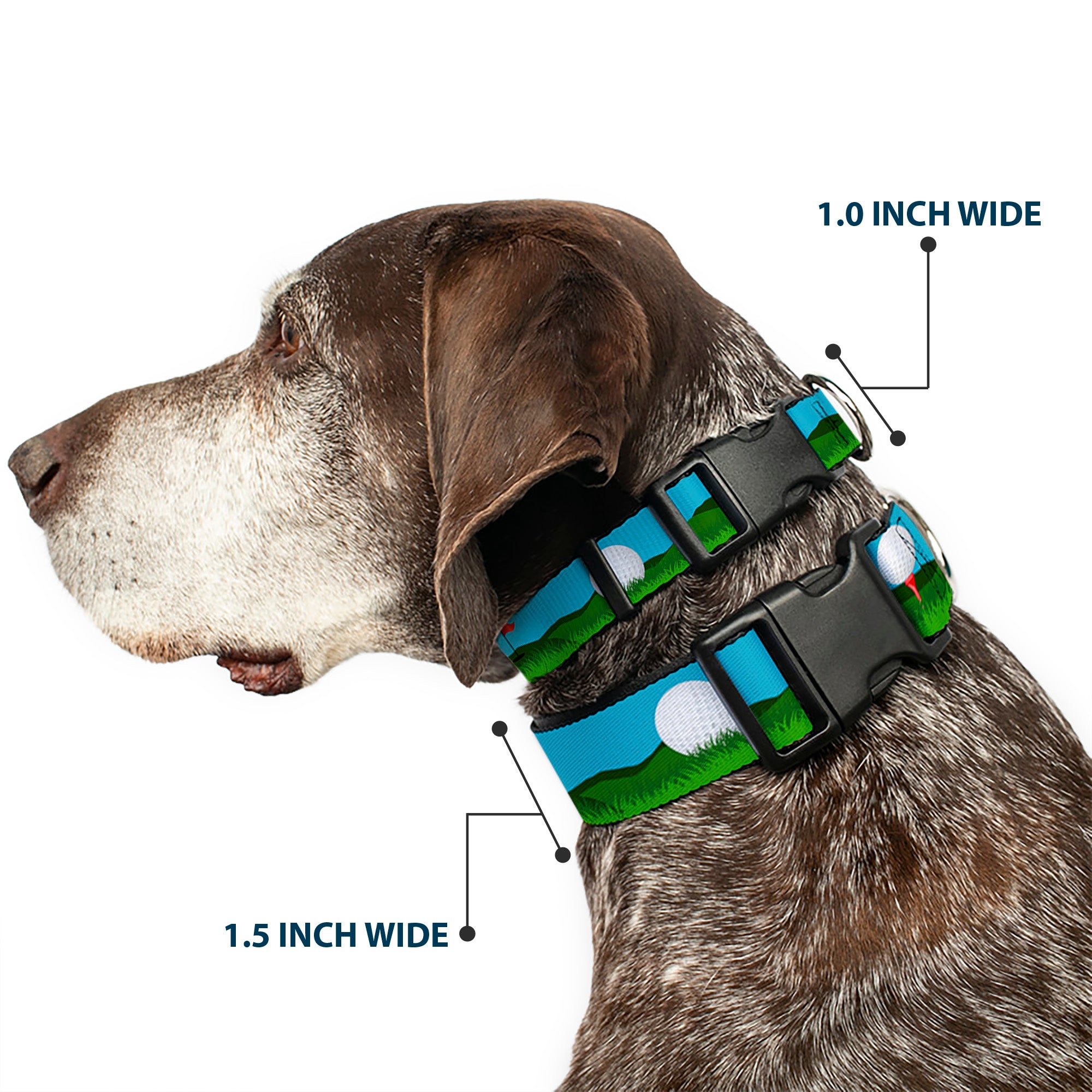Plastic Clip Collar - Golf Course/Balls/Holes Blues/Greens Plastic Clip Collars Buckle-Down