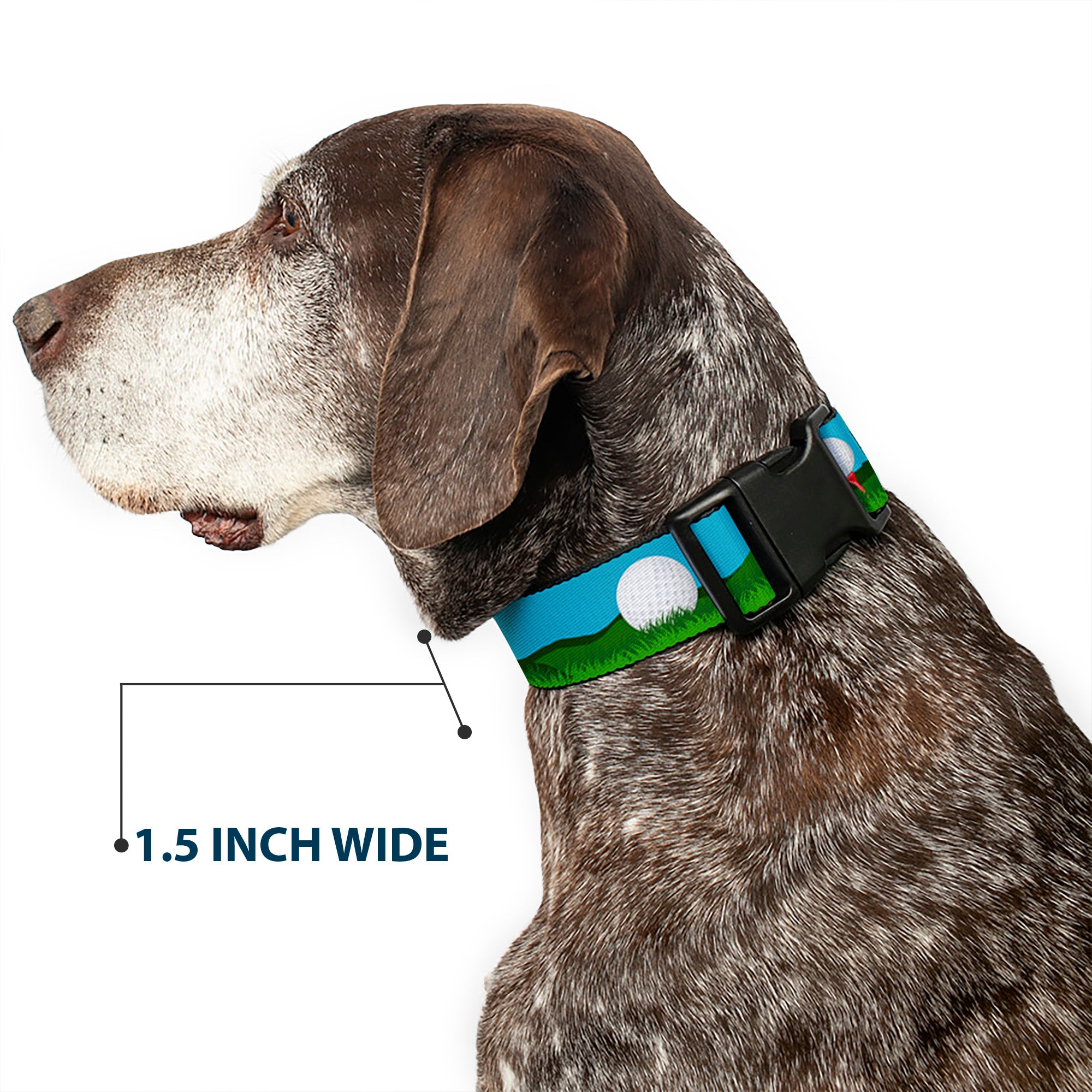 Plastic Clip Collar - Golf Course/Balls/Holes Blues/Greens Plastic Clip Collars Buckle-Down