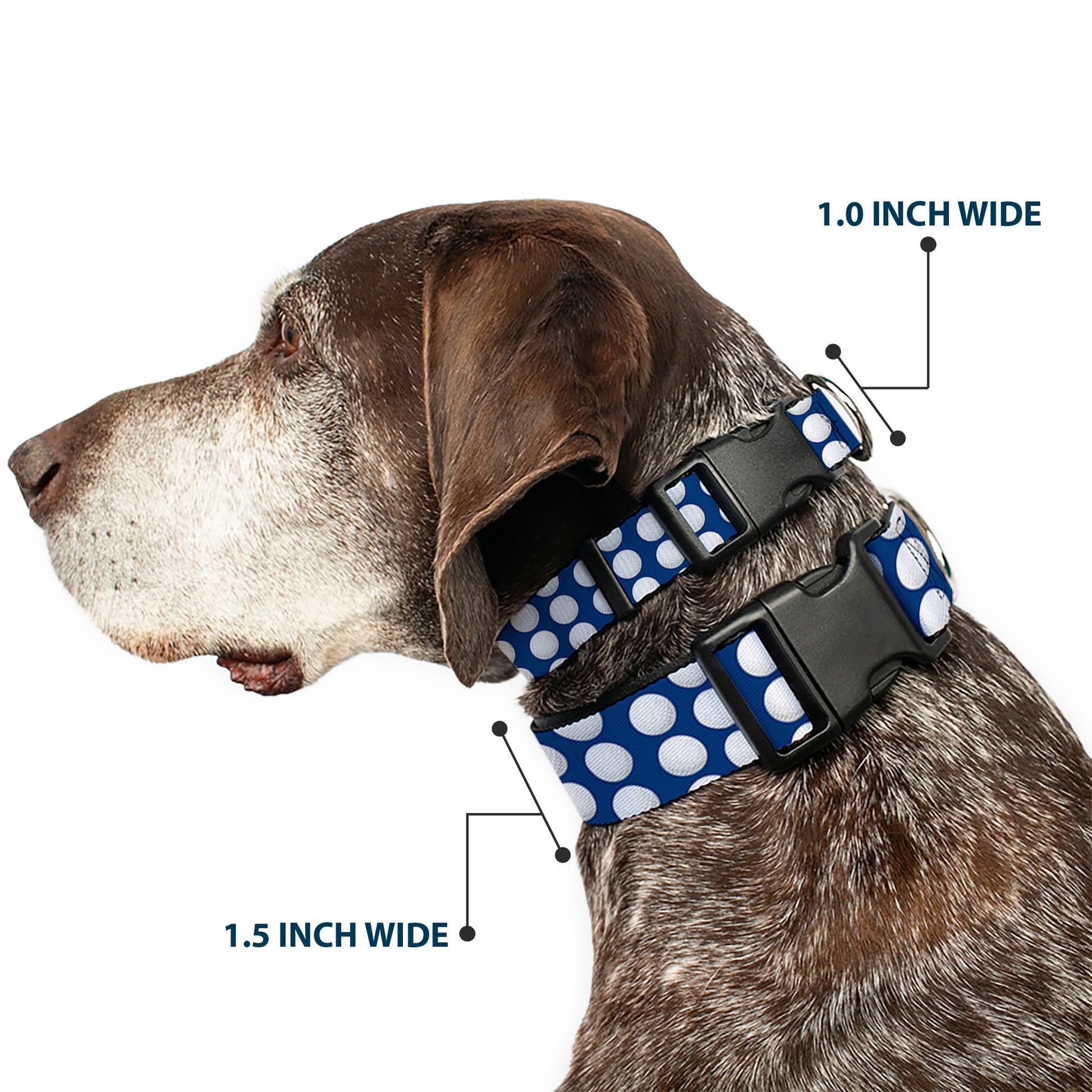 Plastic Clip Collar - Golf Balls Blue/White Plastic Clip Collars Buckle-Down