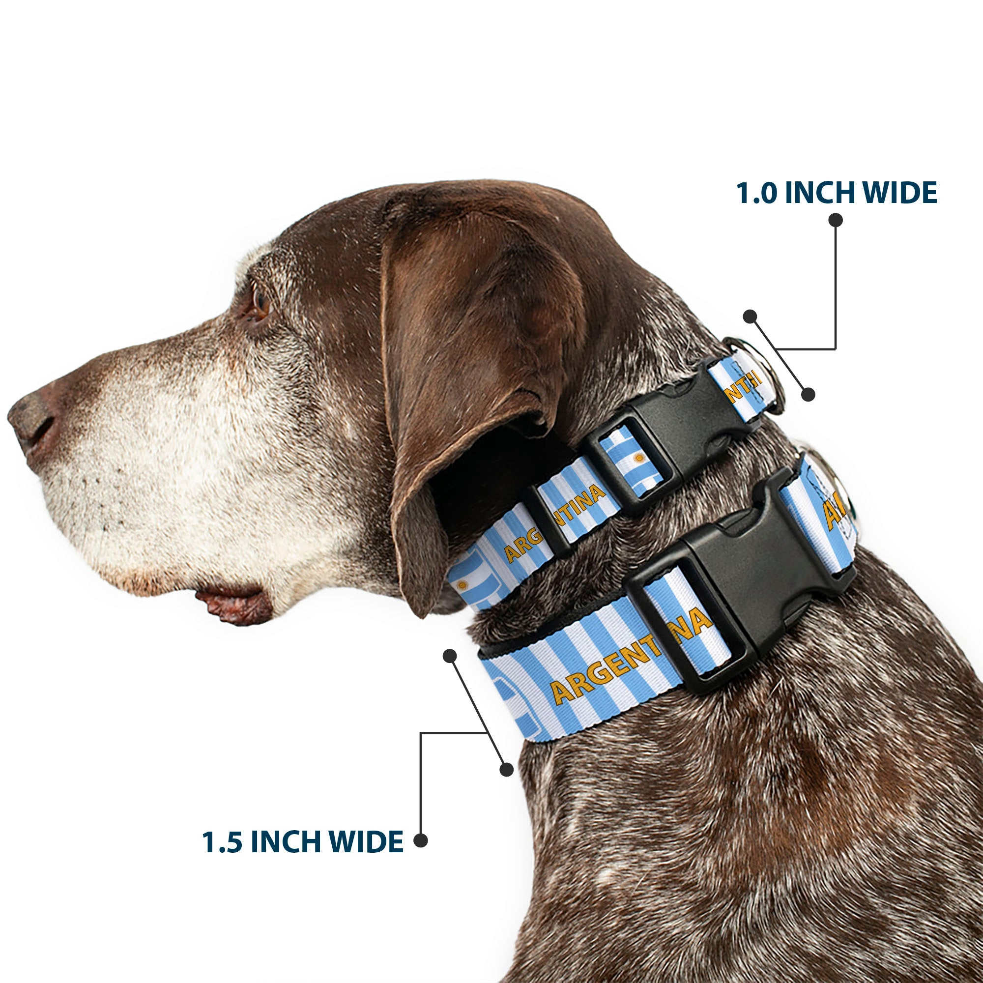 Plastic Clip Collar - Global Soccer Cup Series Argentina Spirit Flag Plastic Clip Collars Buckle-Down