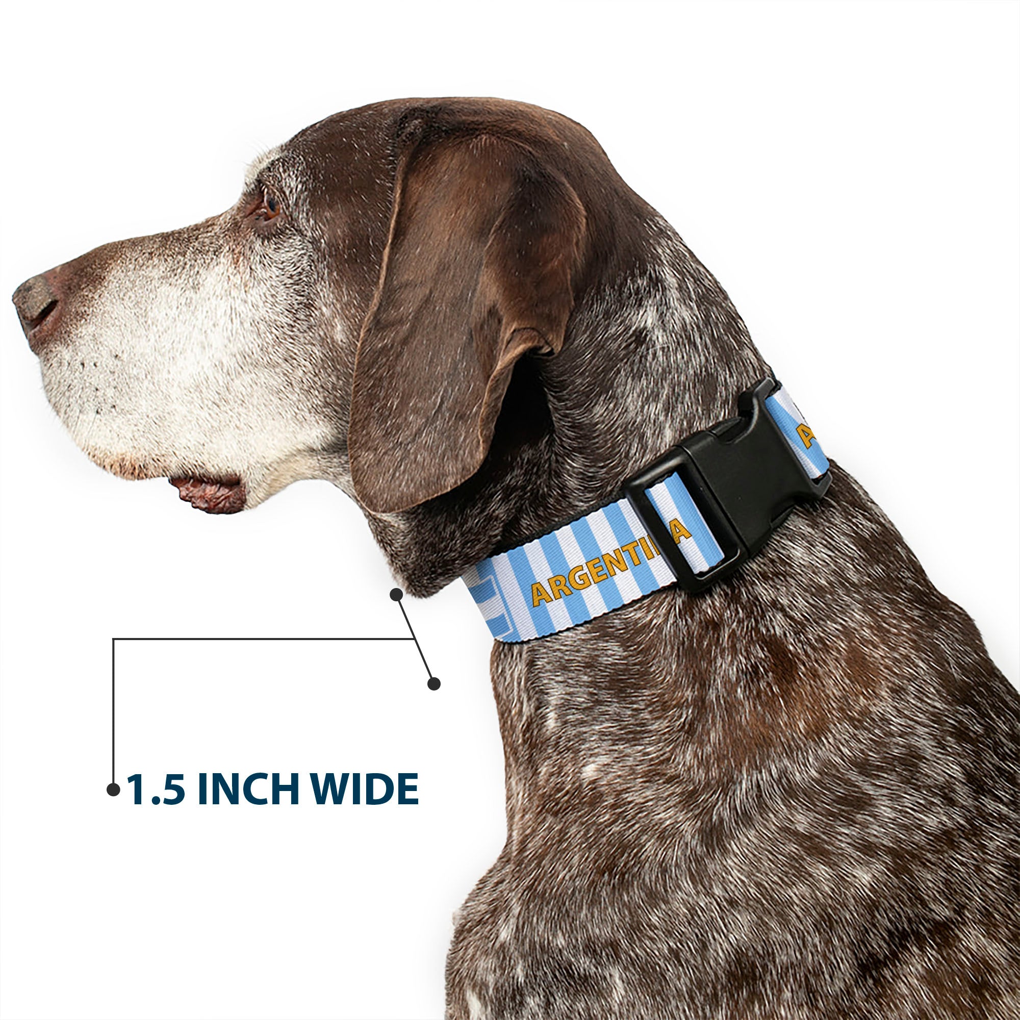 Plastic Clip Collar - Global Soccer Cup Series Argentina Spirit Flag Plastic Clip Collars Buckle-Down