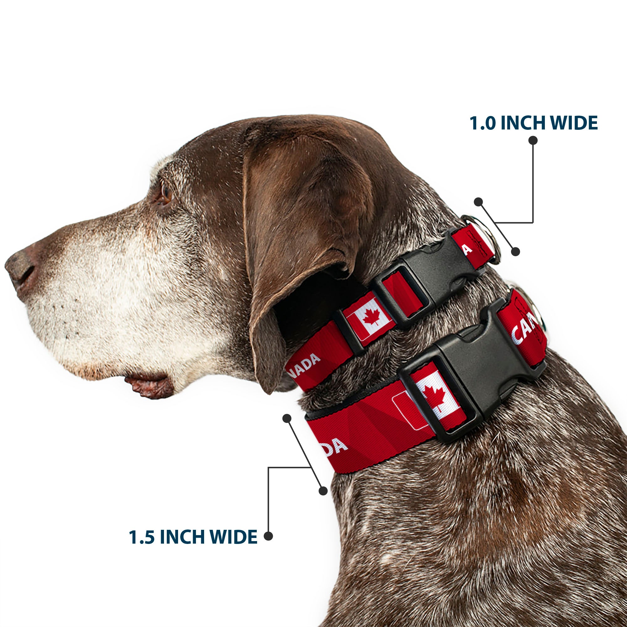 Plastic Clip Collar - Global Soccer Cup Series Canada Spirit Flag Plastic Clip Collars Buckle-Down