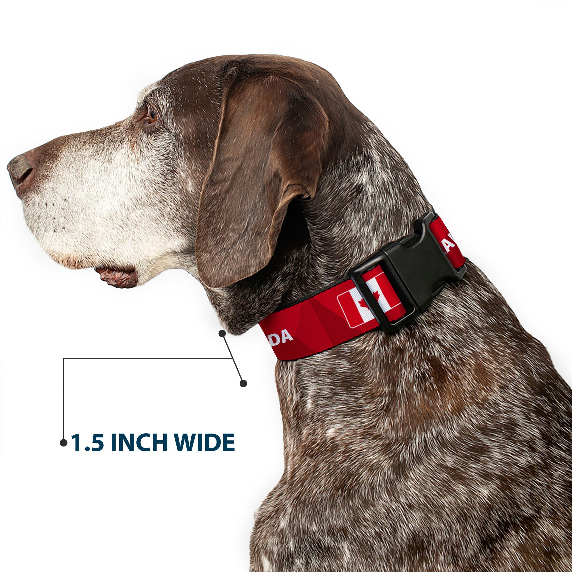 Plastic Clip Collar - Global Soccer Cup Series Canada Spirit Flag Plastic Clip Collars Buckle-Down