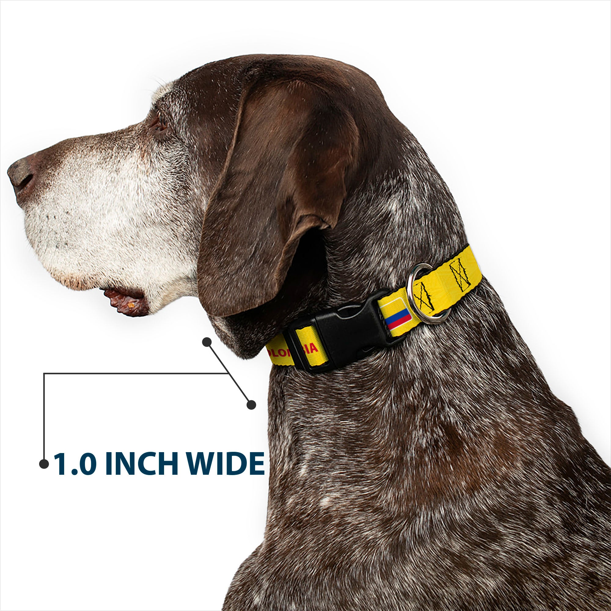 Plastic Clip Collar - Global Soccer Cup Series Colombia Spirit Flag Plastic Clip Collars Buckle-Down
