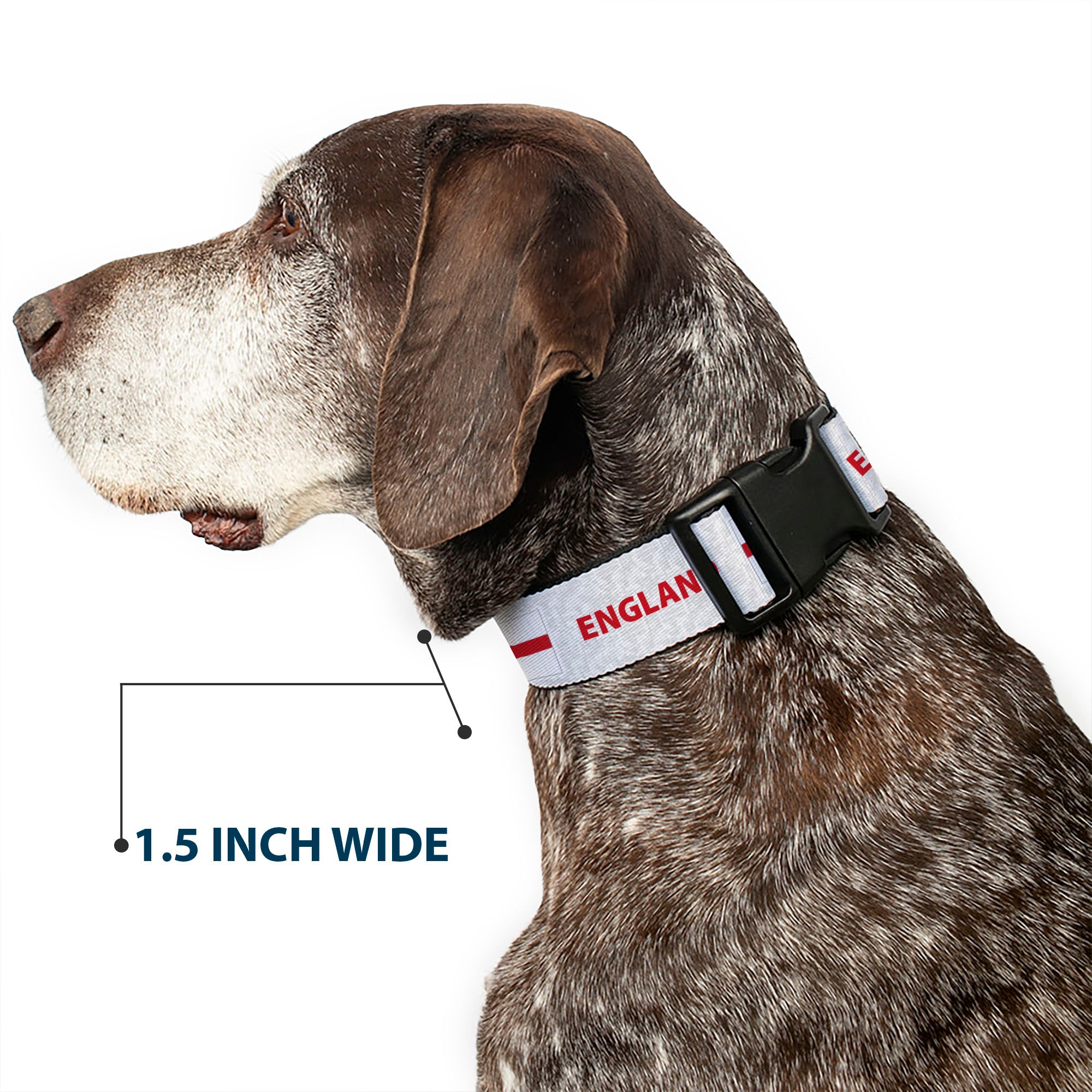 Plastic Clip Collar - Global Soccer Cup Series England Spirit Flag Plastic Clip Collars Buckle-Down