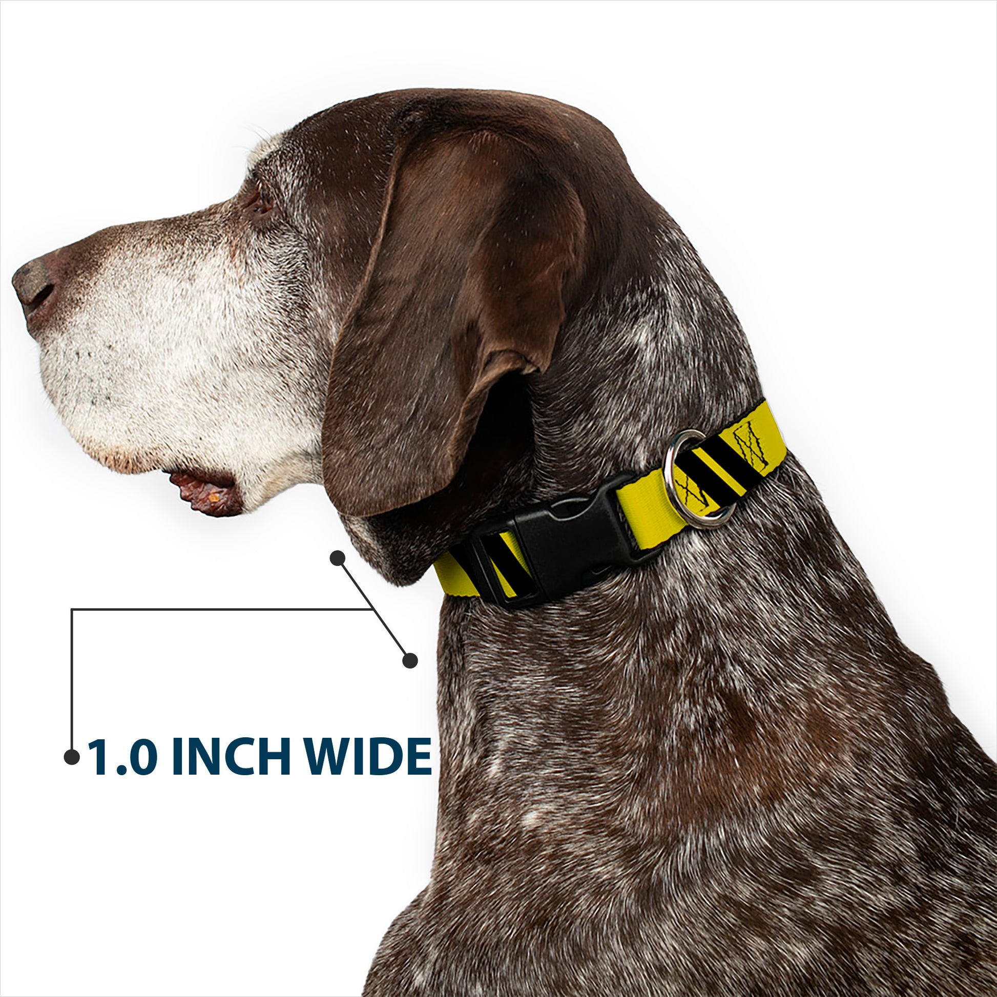 Plastic Clip Collar - Hash Mark Stripe Double Gold/Black Plastic Clip Collars Buckle-Down