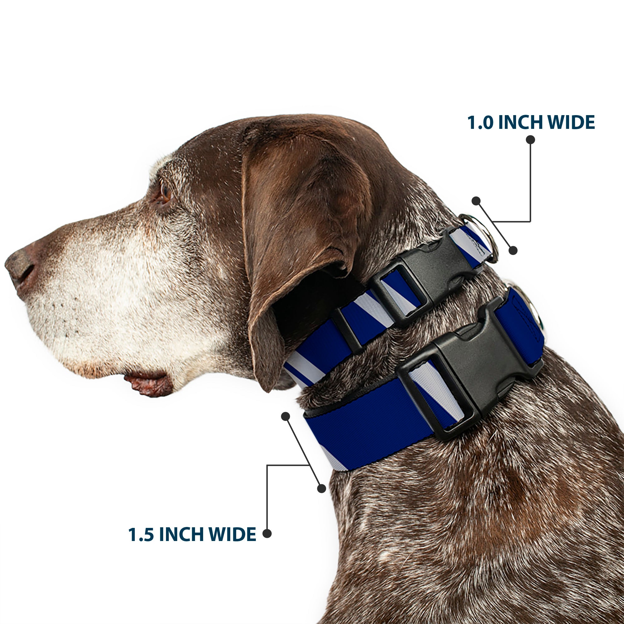 Plastic Clip Collar - Hash Mark Stripe Double Navy/Silver Plastic Clip Collars Buckle-Down