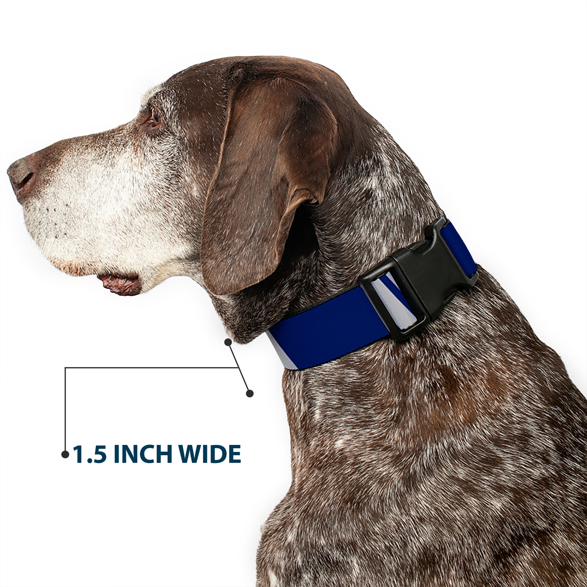 Plastic Clip Collar - Hash Mark Stripe Double Navy/Silver Plastic Clip Collars Buckle-Down