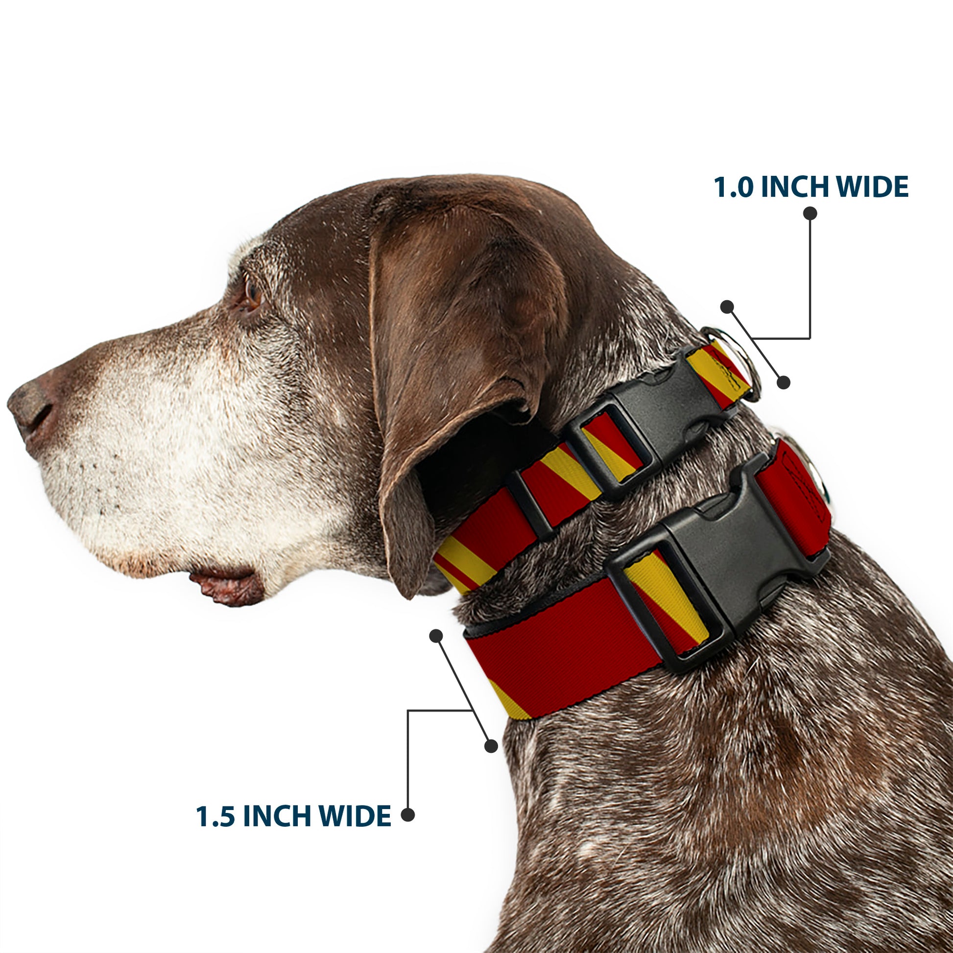 Plastic Clip Collar - Hash Mark Stripe Double Maroon/Gold Plastic Clip Collars Buckle-Down