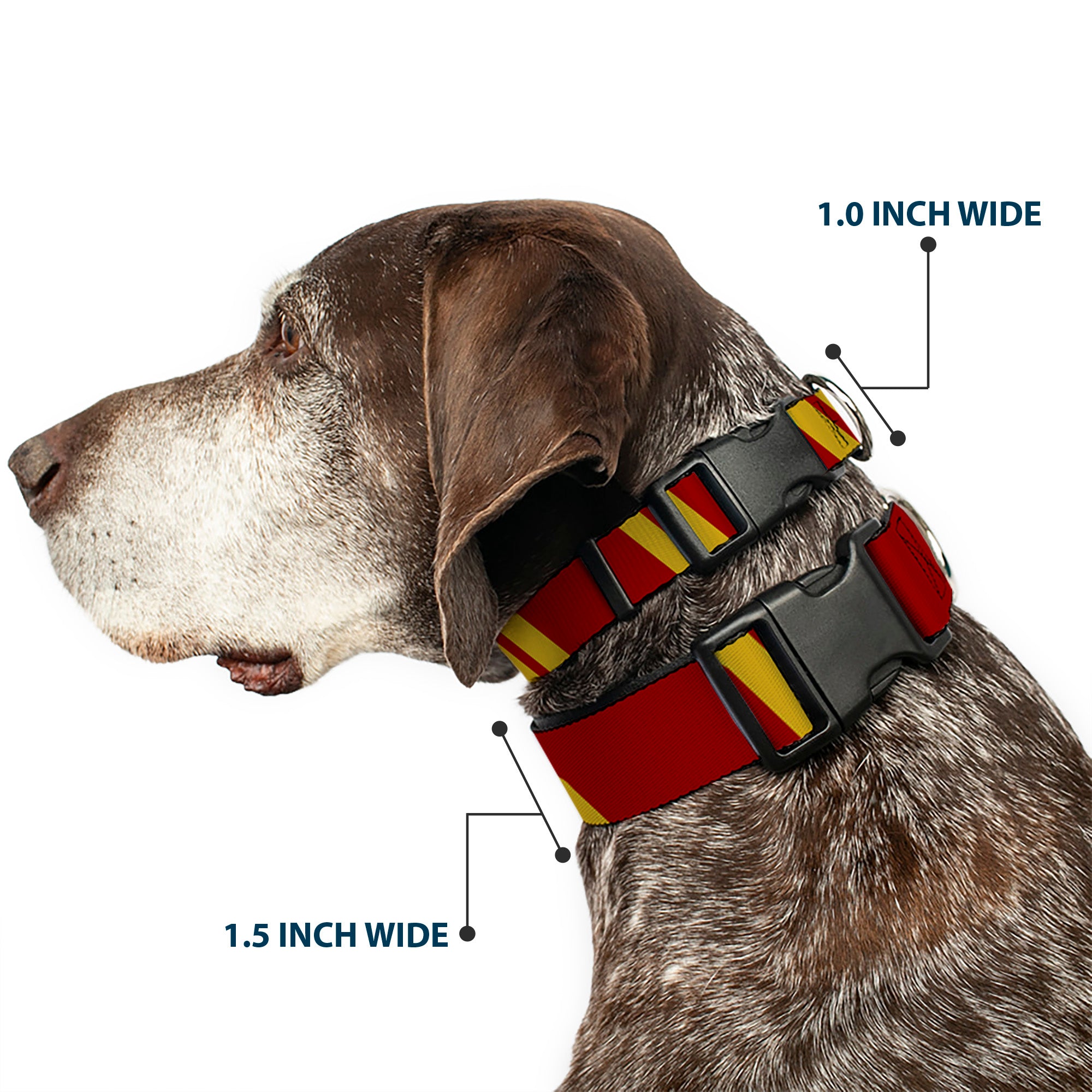 Plastic Clip Collar - Hash Mark Stripe Double Maroon/Gold Plastic Clip Collars Buckle-Down
