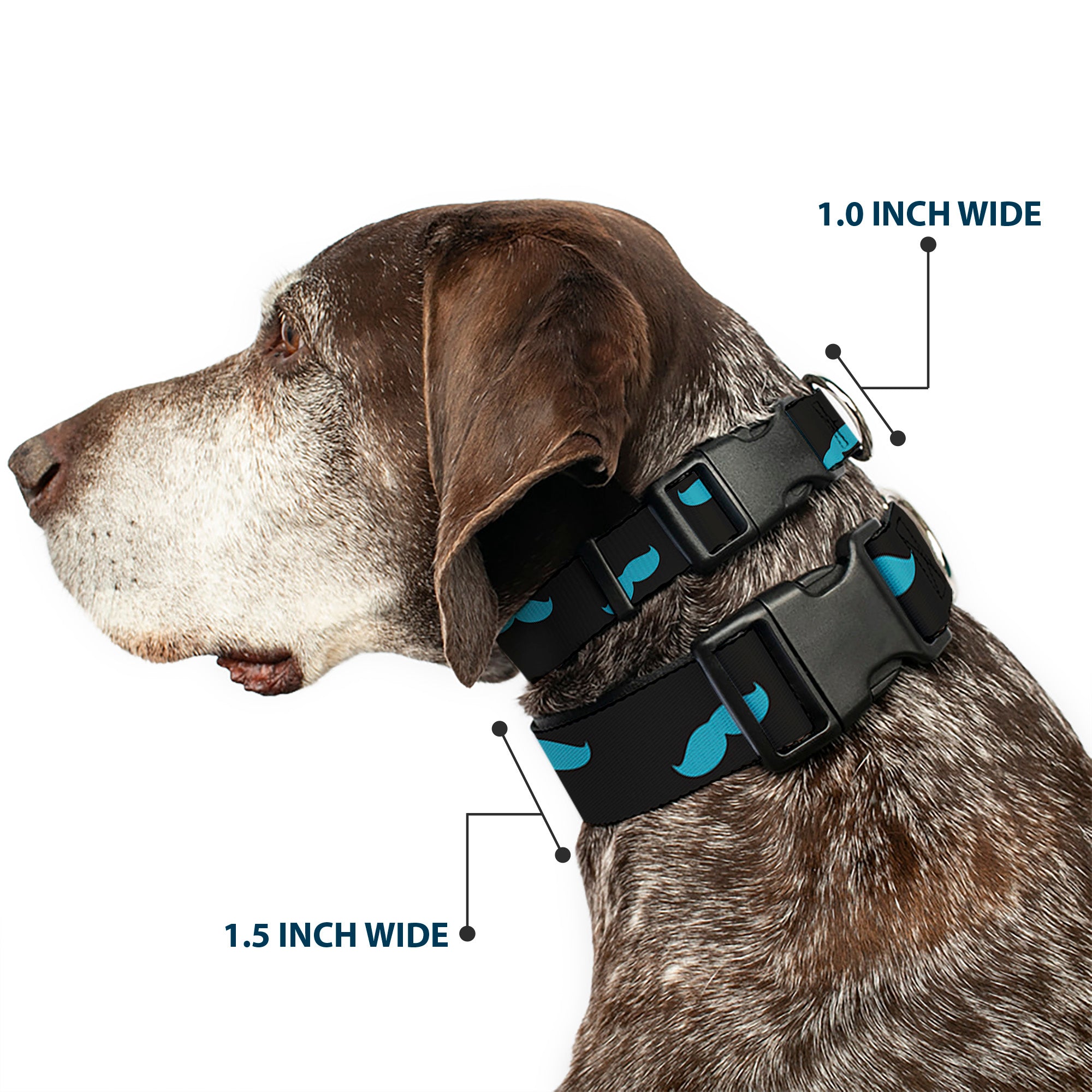 Plastic Clip Collar - Mustaches Scattered Black/Turquoise Plastic Clip Collars Buckle-Down