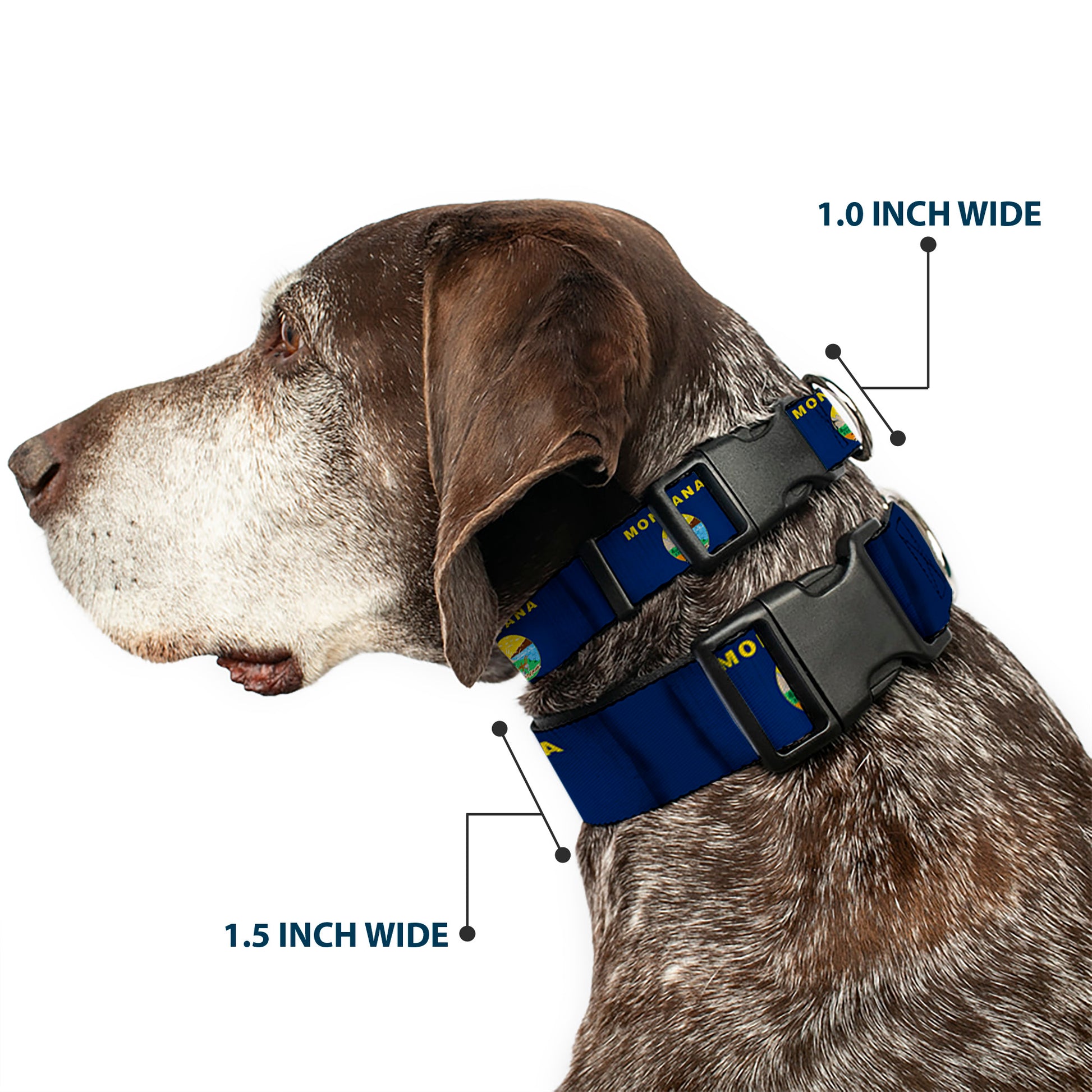 Plastic Clip Collar - Montana Flags Plastic Clip Collars Buckle-Down