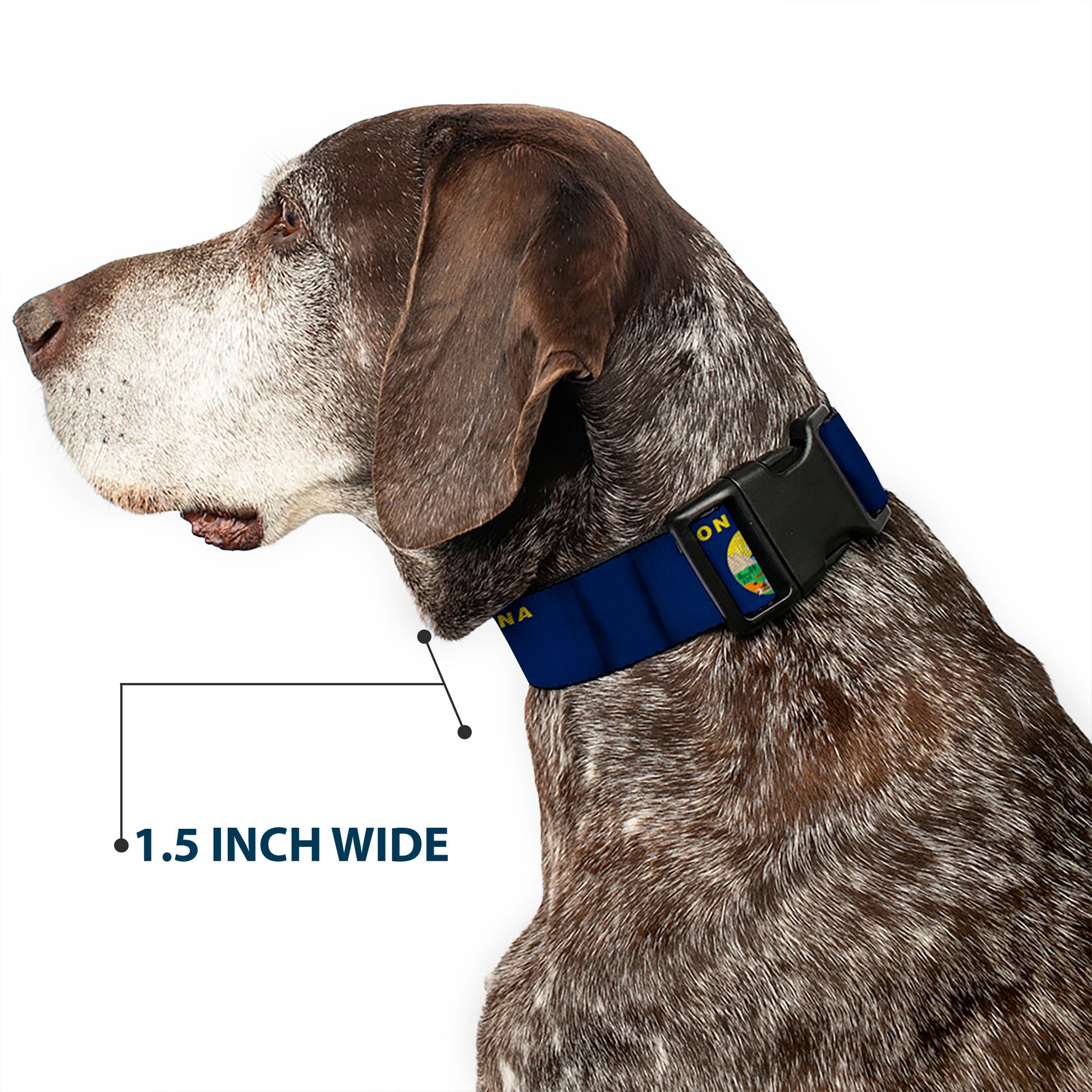 Plastic Clip Collar - Montana Flags Plastic Clip Collars Buckle-Down