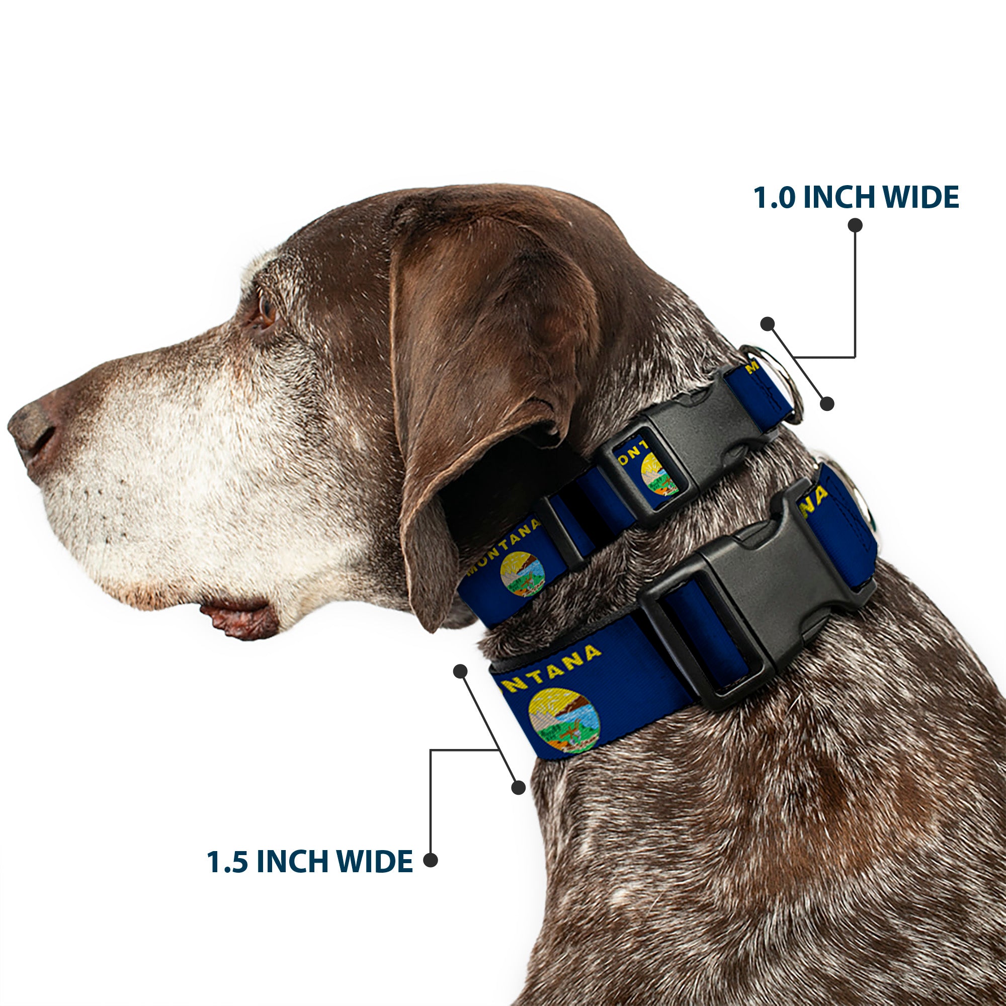 Plastic Clip Collar - Montana Flags2 Plastic Clip Collars Buckle-Down