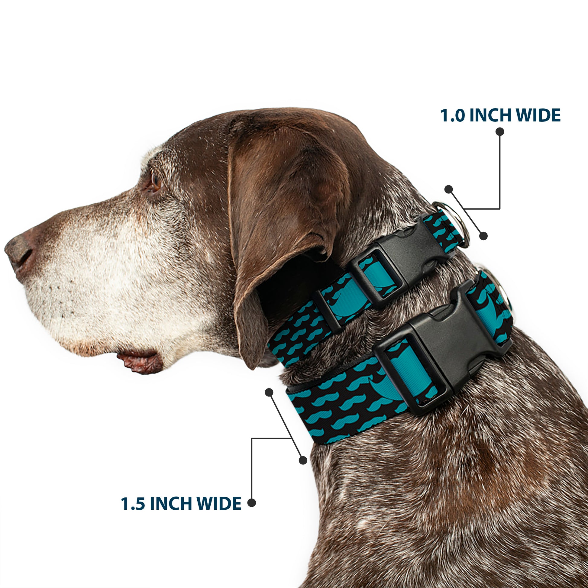 Plastic Clip Collar - Mustaches Mini/Single Repeat Black/Turquoise Plastic Clip Collars Buckle-Down