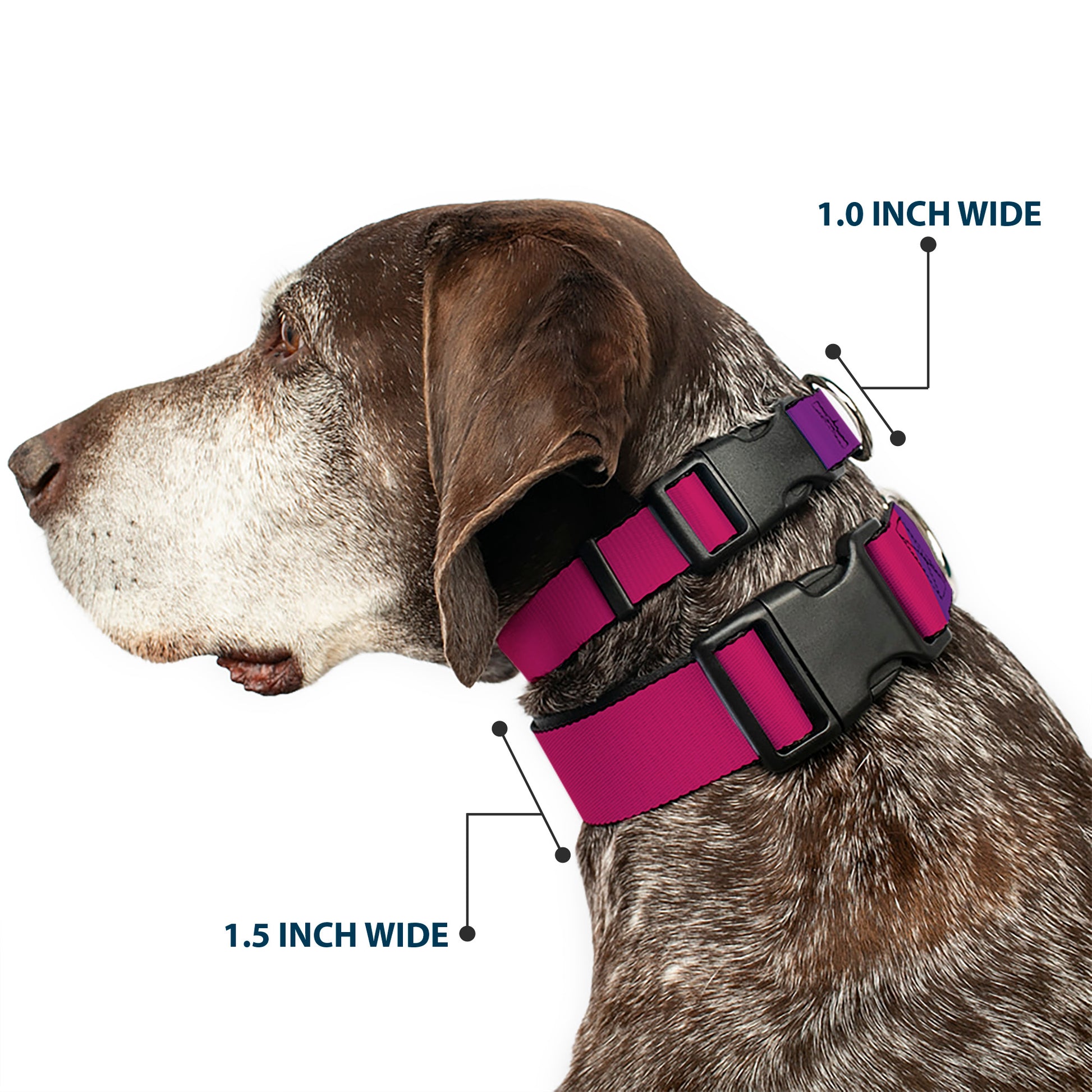 Plastic Clip Collar - Multi Color Blocks Plastic Clip Collars Buckle-Down