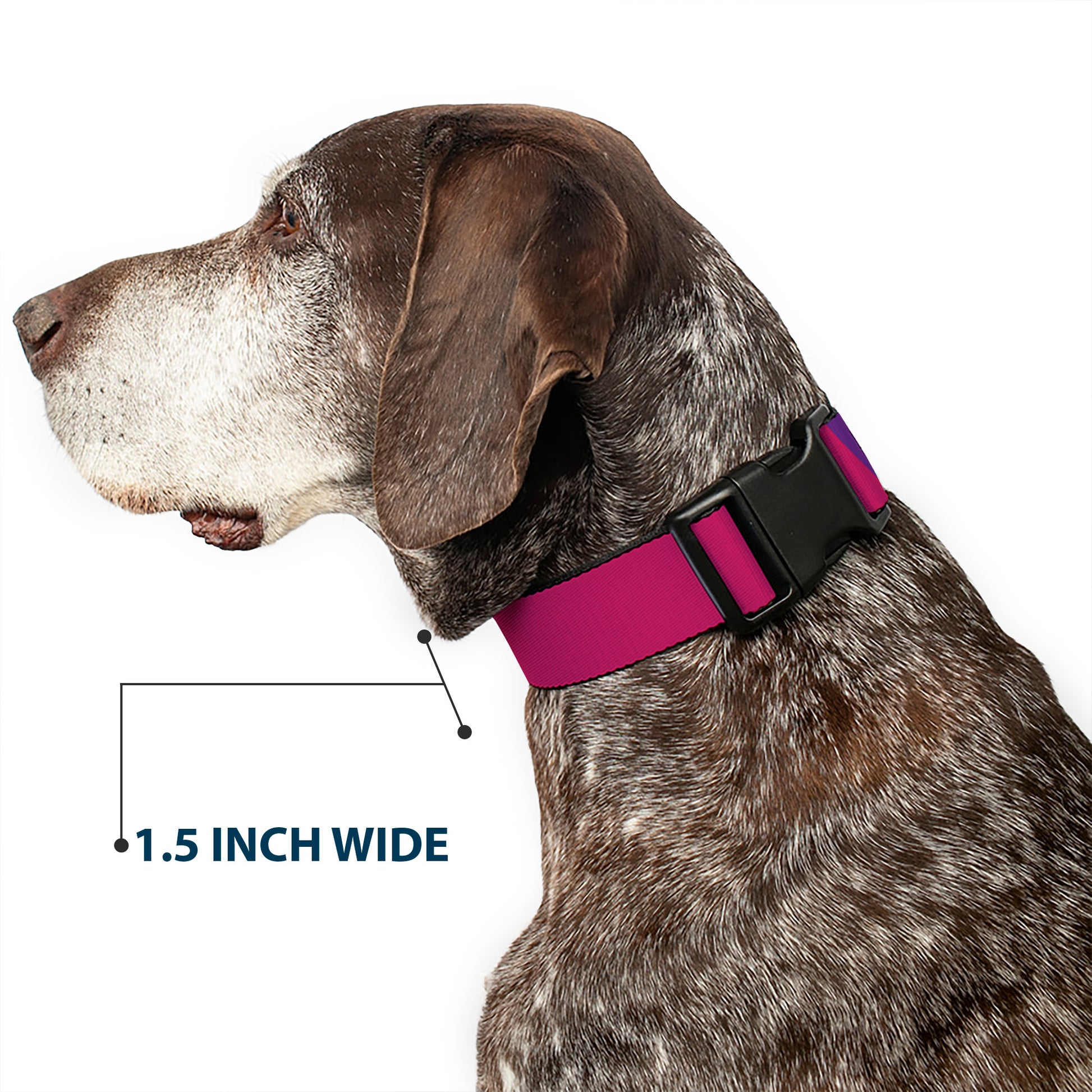 Plastic Clip Collar - Multi Color Blocks Plastic Clip Collars Buckle-Down