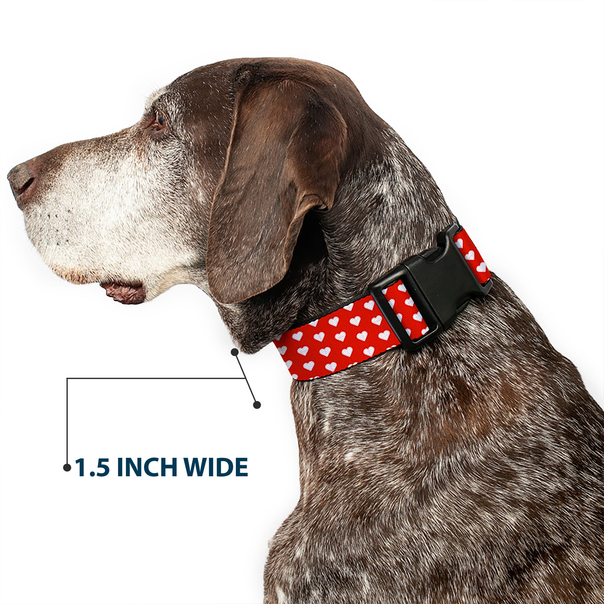 Plastic Clip Collar - Mini Hearts Monogram Red/White Plastic Clip Collars Buckle-Down