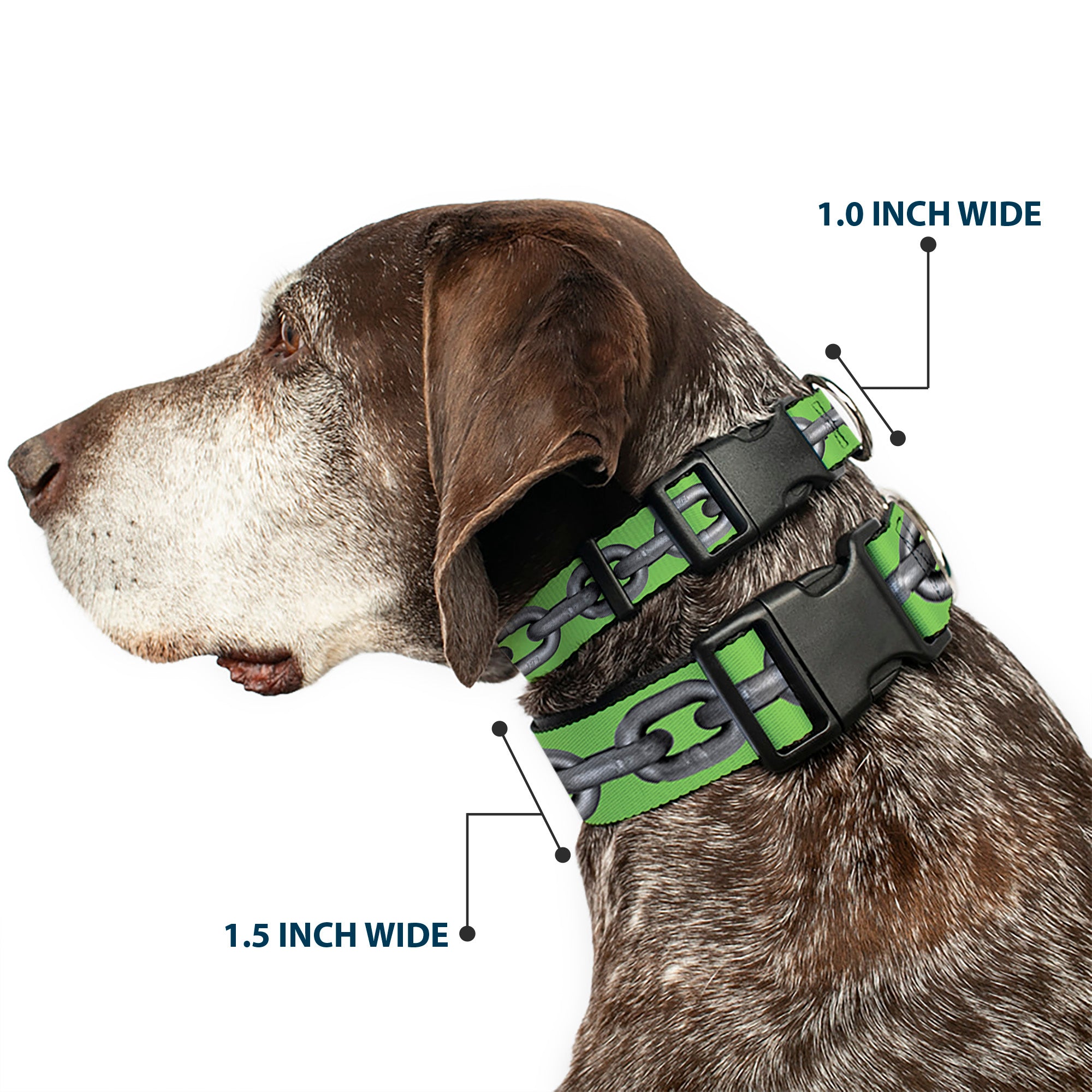 Plastic Clip Collar - Metal Chain Green/Gray Plastic Clip Collars Buckle-Down