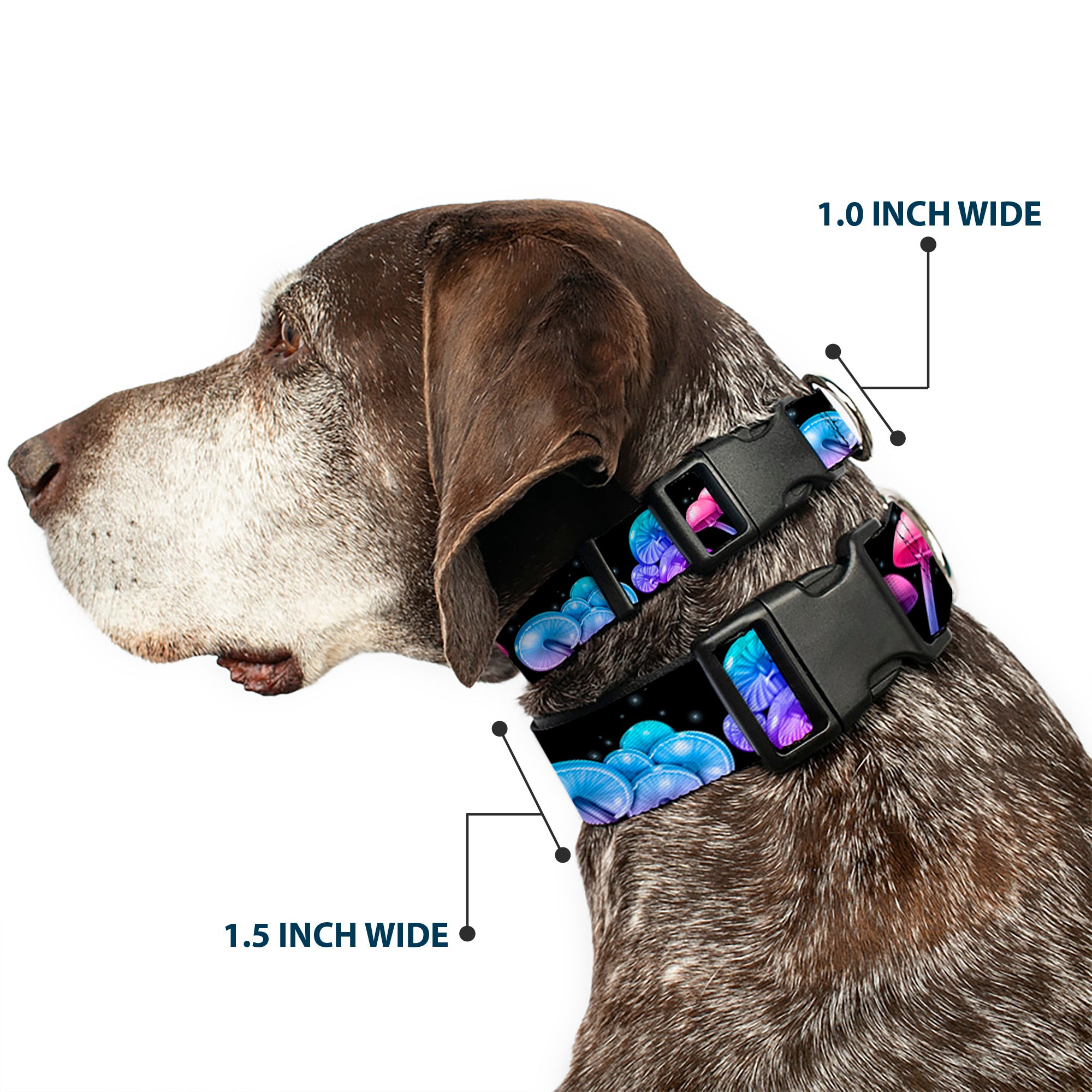 Plastic Clip Collar - Mushroom Glow Black/Multi Color Plastic Clip Collars Buckle-Down