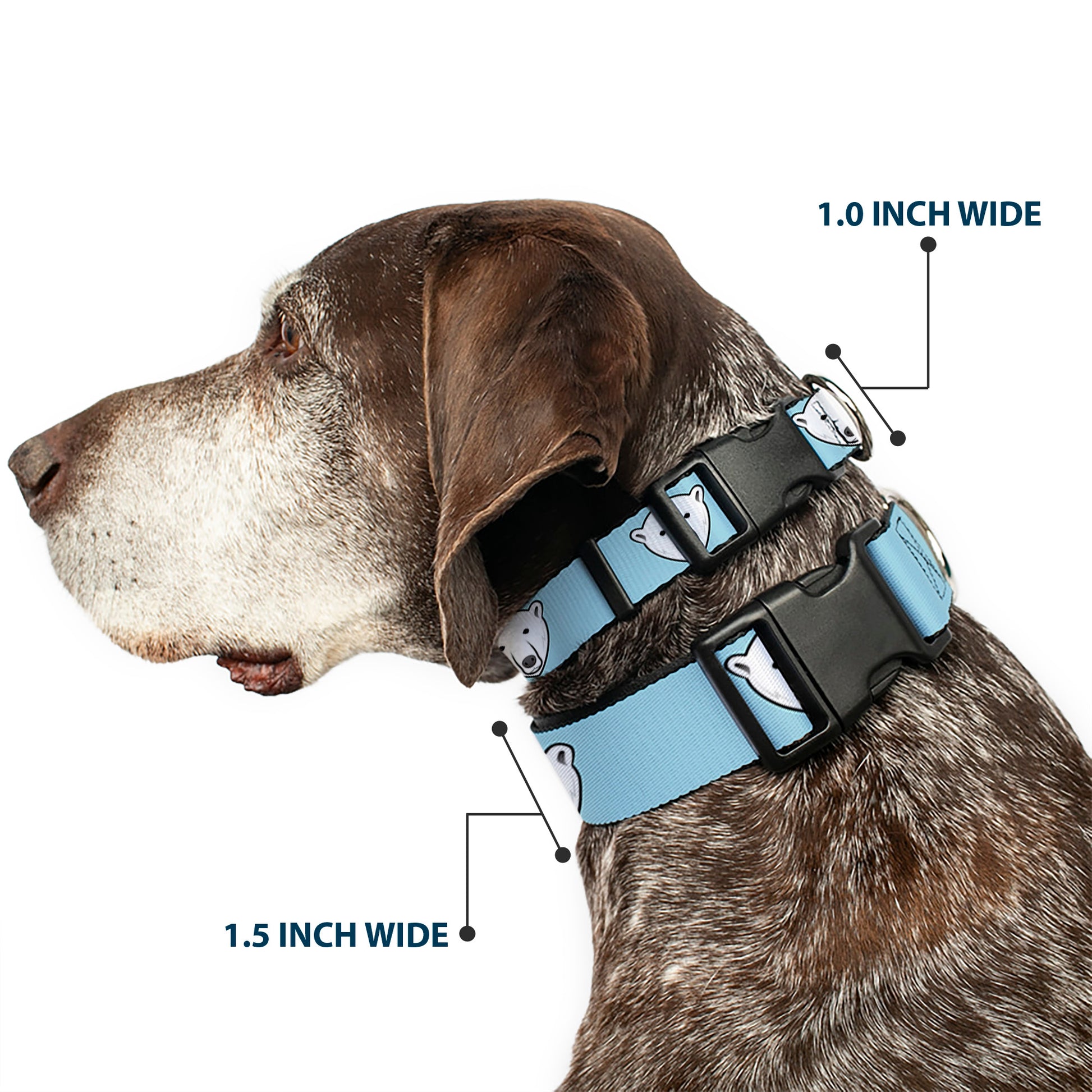 Plastic Clip Collar - Polar Bear Repeat Baby Blue Plastic Clip Collars Buckle-Down