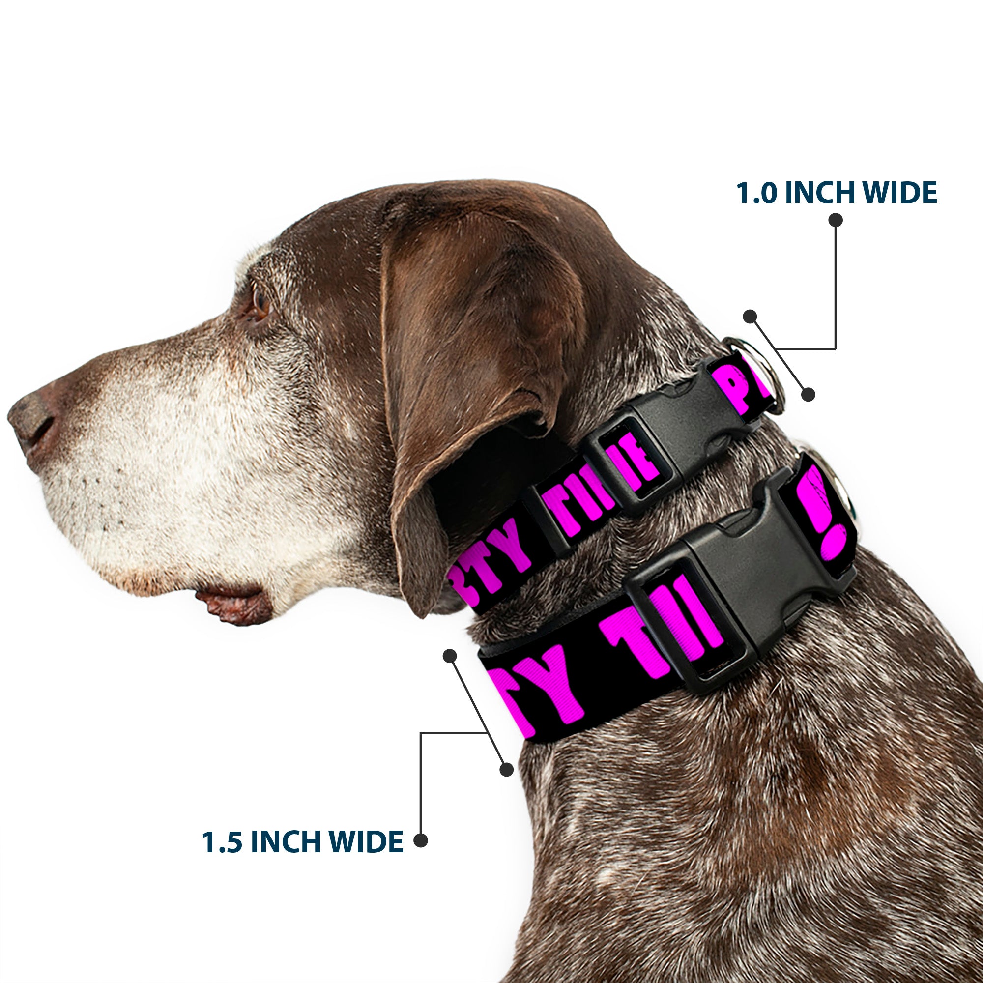 Plastic Clip Collar - PARTY TIME! Black/Fuchsia Plastic Clip Collars Buckle-Down