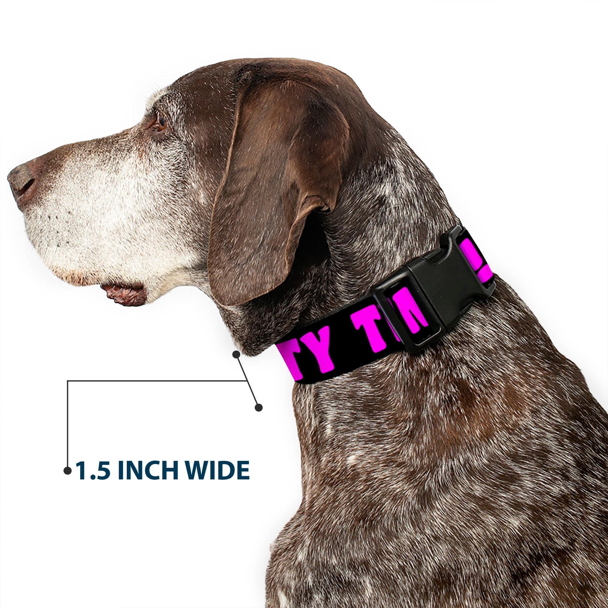 Plastic Clip Collar - PARTY TIME! Black/Fuchsia Plastic Clip Collars Buckle-Down