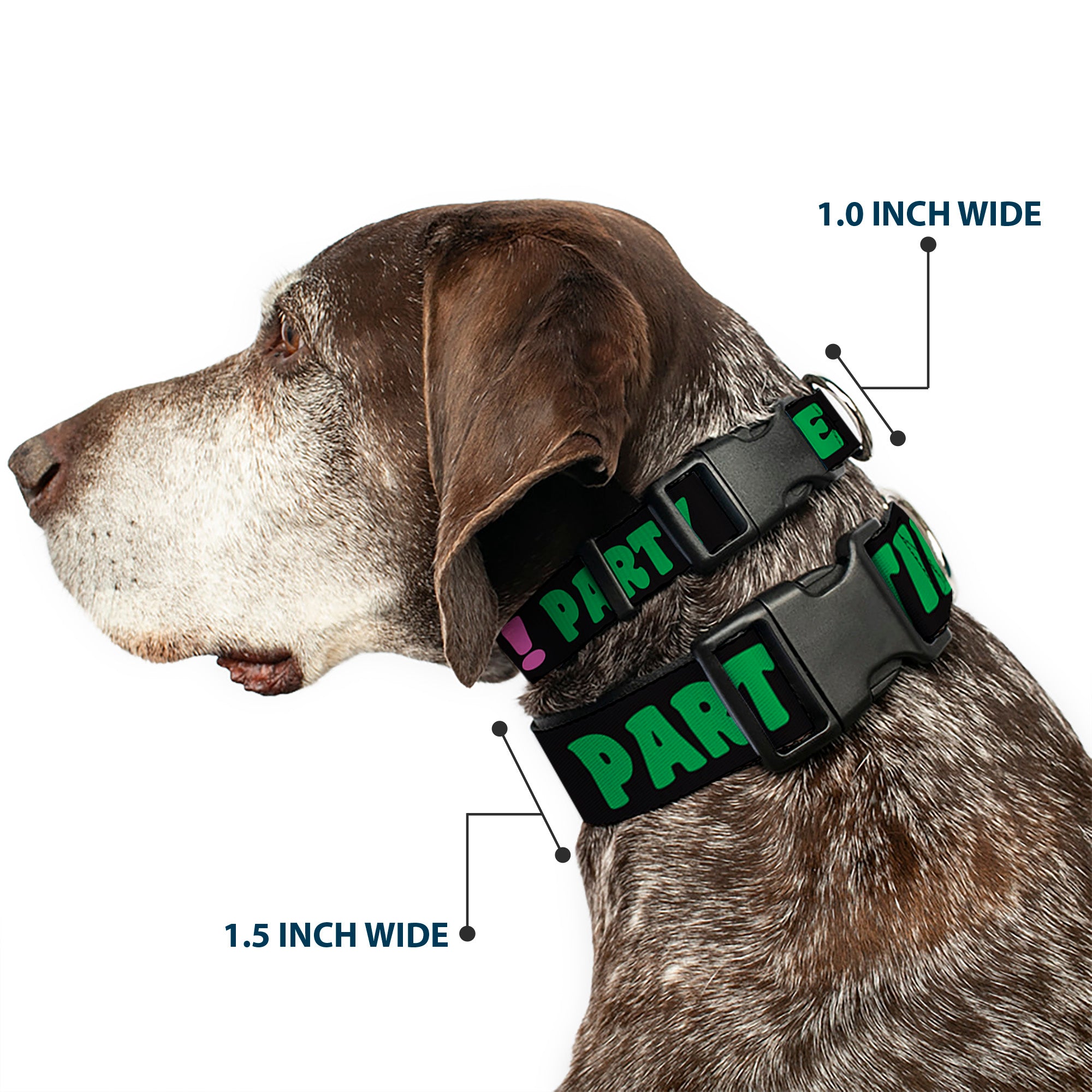 Plastic Clip Collar - PARTY TIME! Black/Green/Turquoise/Fuchsia Plastic Clip Collars Buckle-Down