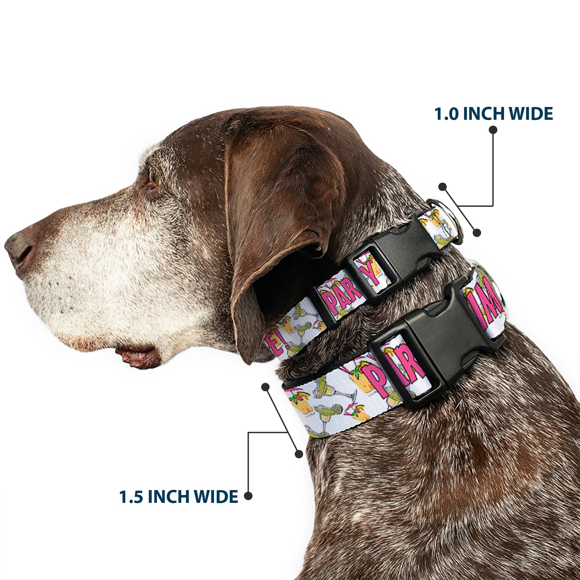 Buckle-Down Plastic Buckle Dog Collar - PARTY TIME! w/Drinks Plastic Clip Collars Buckle-Down