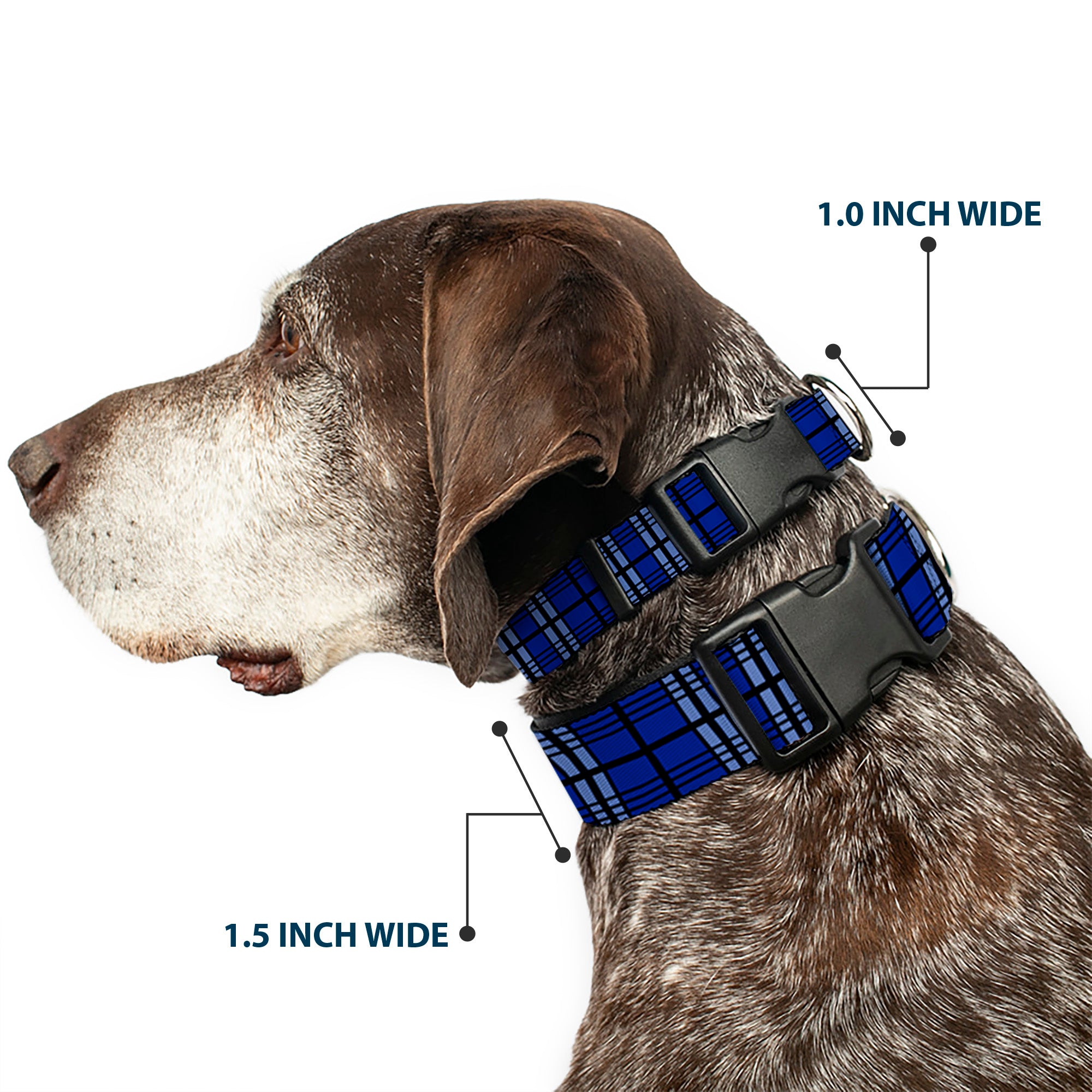 Plastic Clip Collar - Plaid Blue/Gray/Black Plastic Clip Collars Buckle-Down