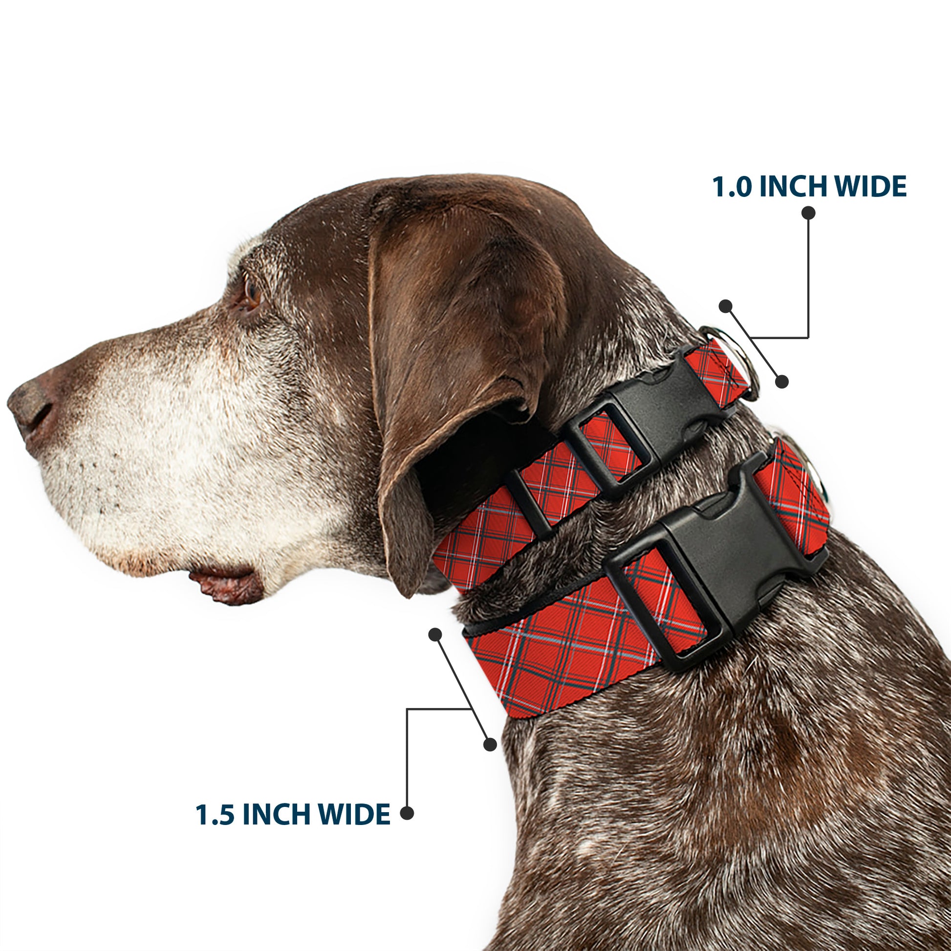 Plastic Clip Collar - Plaid X Orange/Gray Plastic Clip Collars Buckle-Down