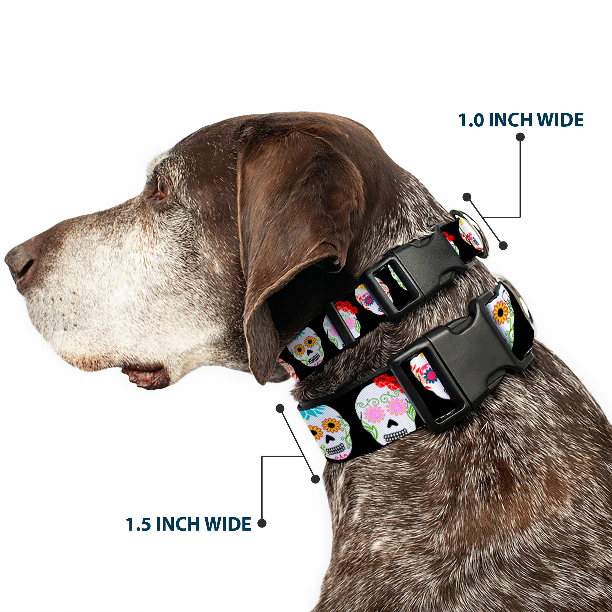 Plastic Clip Collar - Staggered Sugar Skulls Black/Multi Color Plastic Clip Collars Buckle-Down