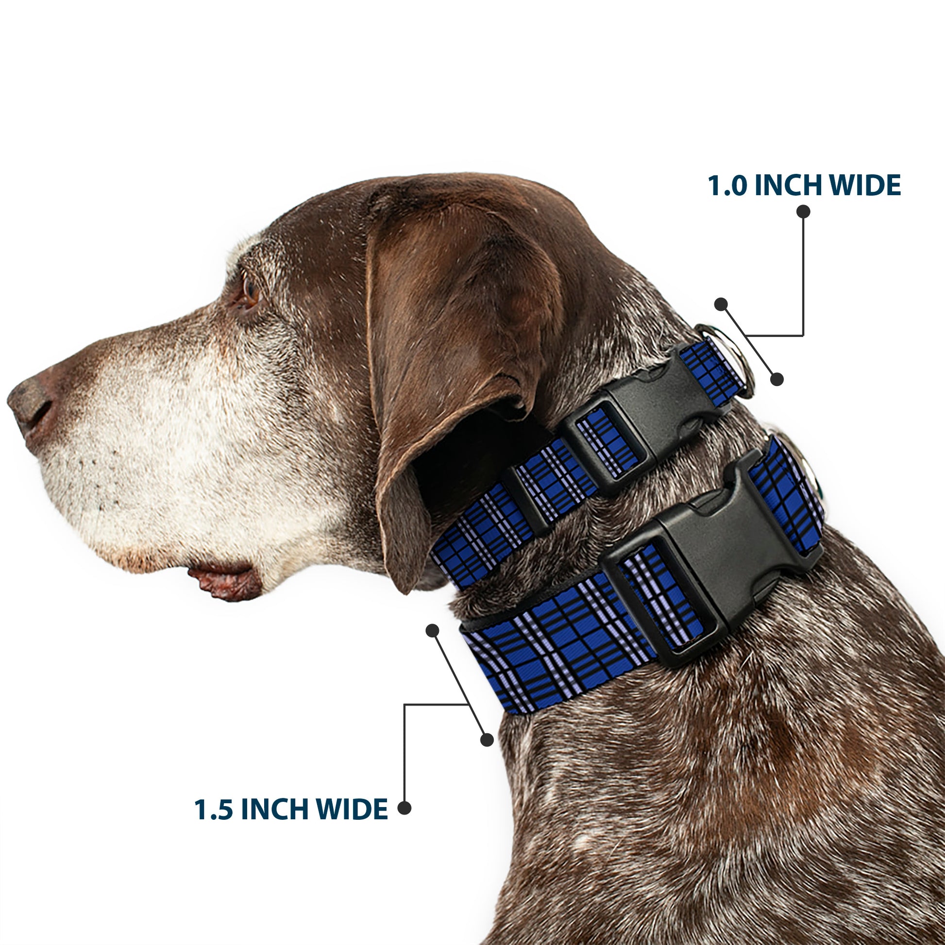 Plastic Clip Collar - Plaid Navy Plastic Clip Collars Buckle-Down