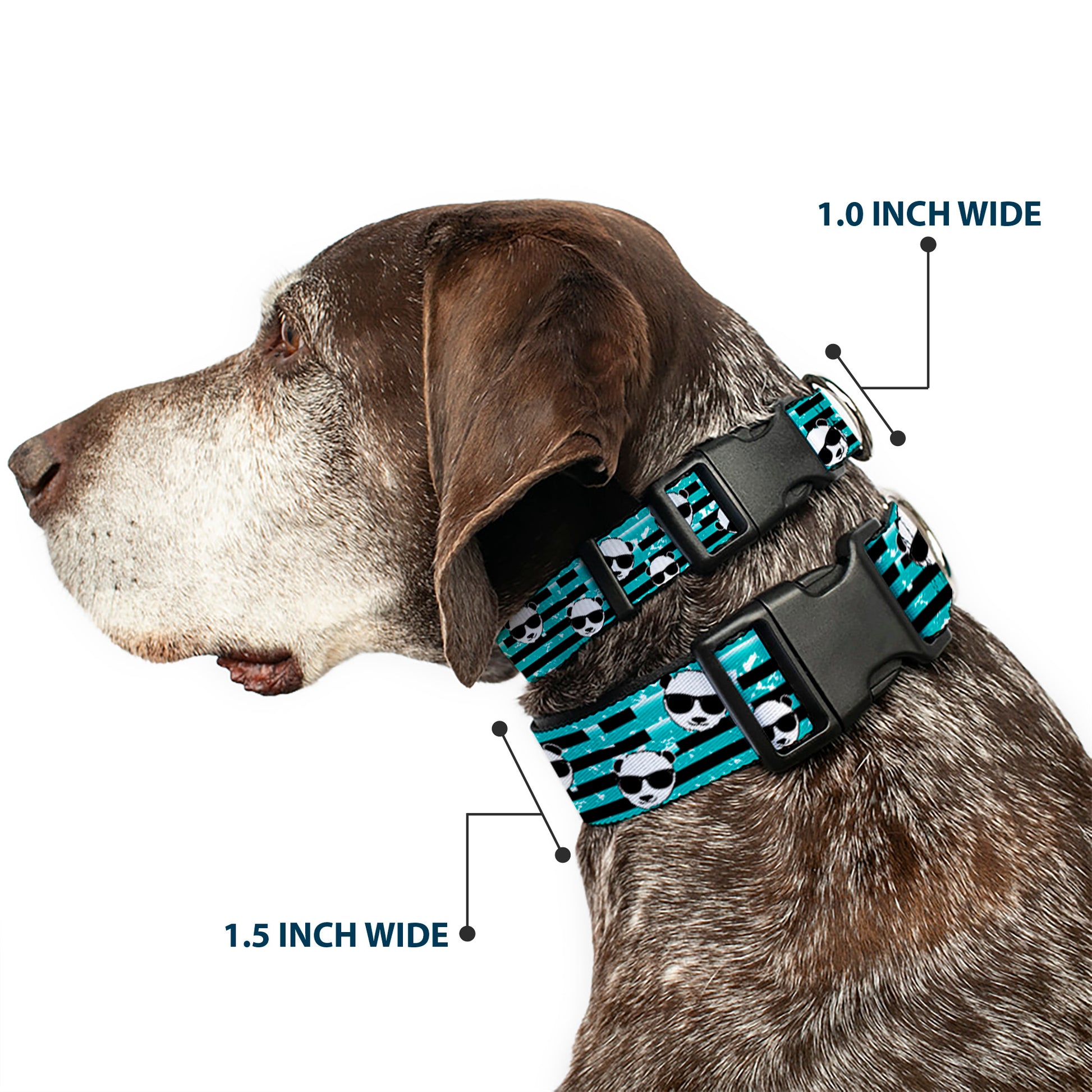 Plastic Clip Collar - Multi Panda w/Sunglasses Stripe Turquoise/Black Plastic Clip Collars Buckle-Down
