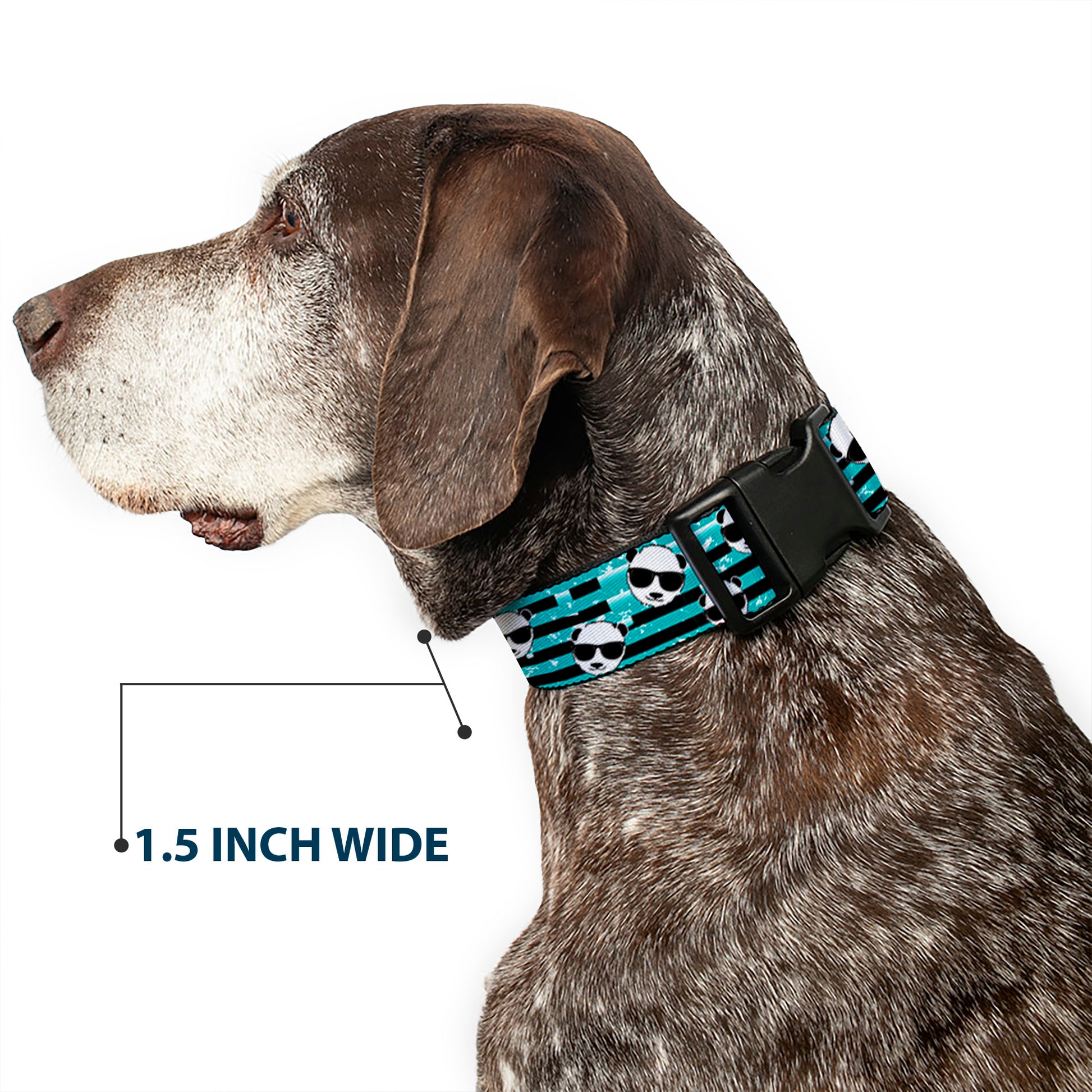 Plastic Clip Collar - Multi Panda w/Sunglasses Stripe Turquoise/Black Plastic Clip Collars Buckle-Down