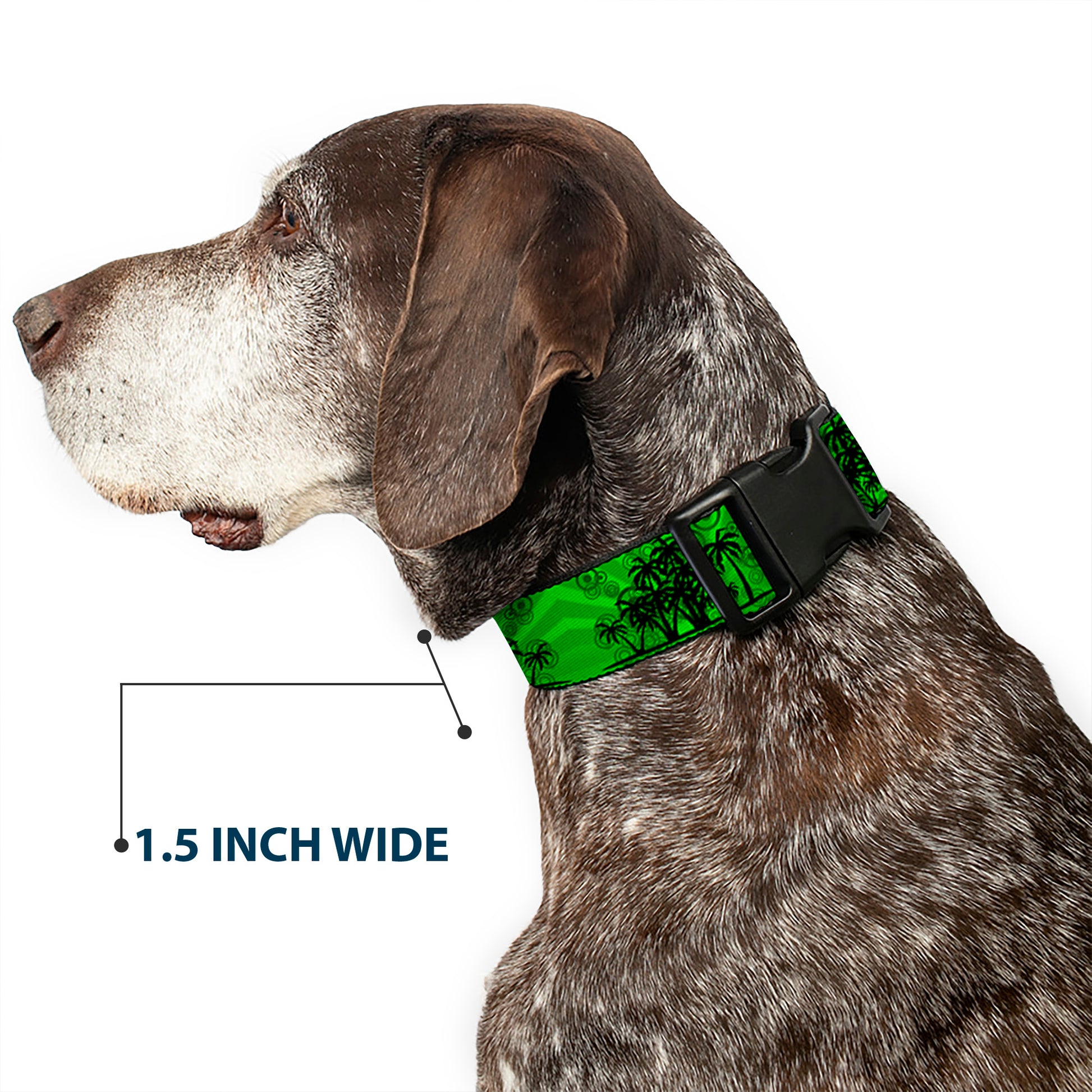 Plastic Clip Collar - Palm Trees Greens/Black Plastic Clip Collars Buckle-Down