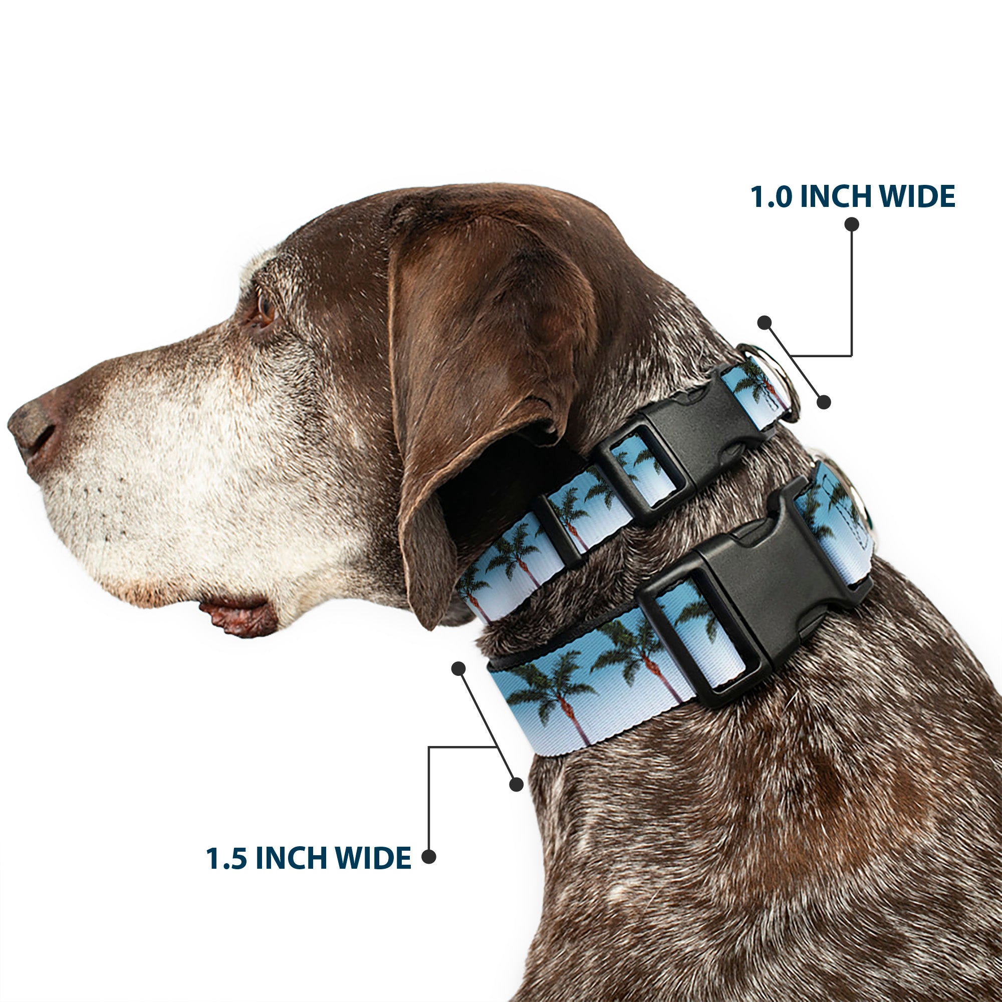 Plastic Clip Collar - Palm Tree Skyline Plastic Clip Collars Buckle-Down