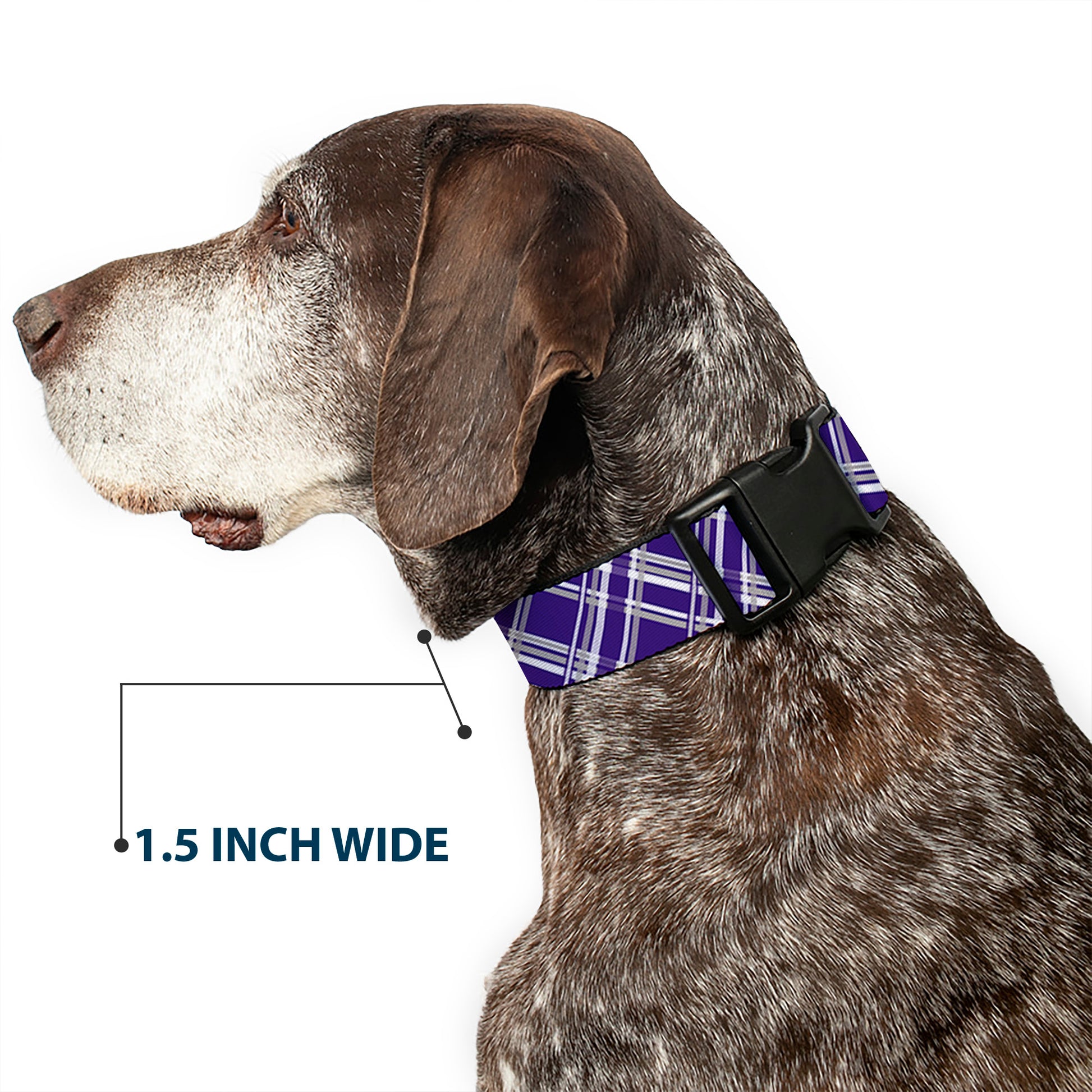 Plastic Clip Collar - Plaid X3 Purple/Gray/White Plastic Clip Collars Buckle-Down