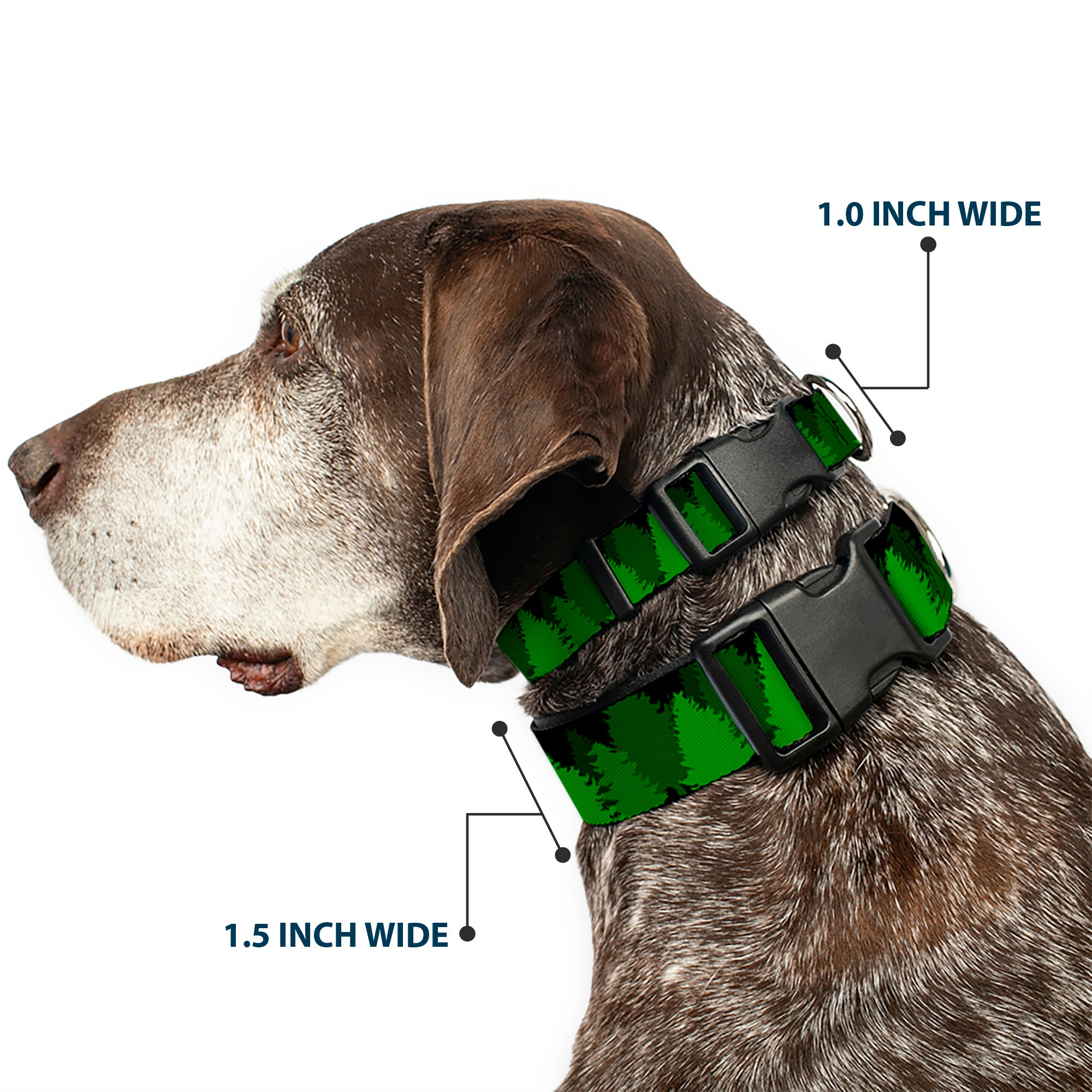 Plastic Clip Collar - Pine Tree Silhouettes Black/Greens Plastic Clip Collars Buckle-Down